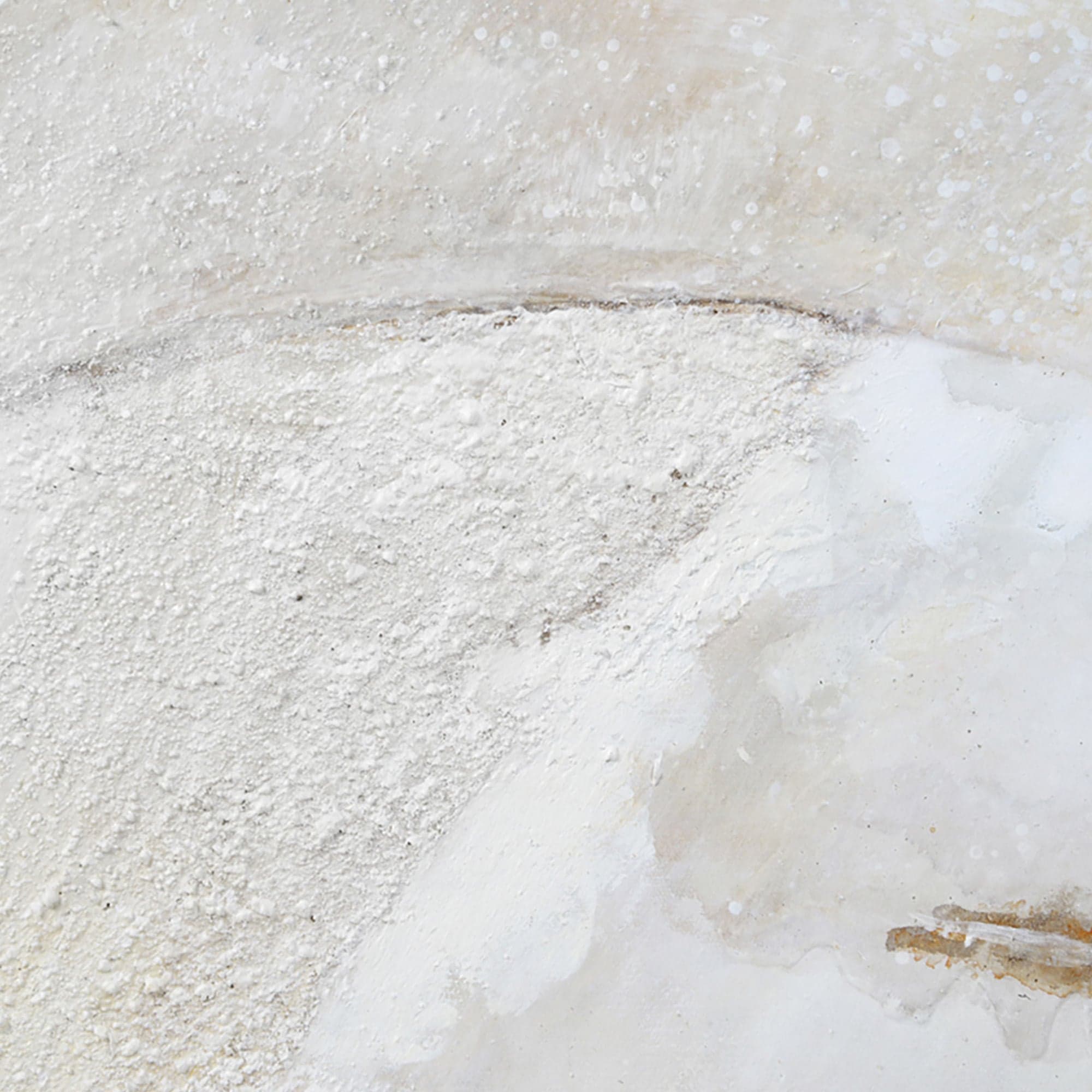 Dimona — product photograph