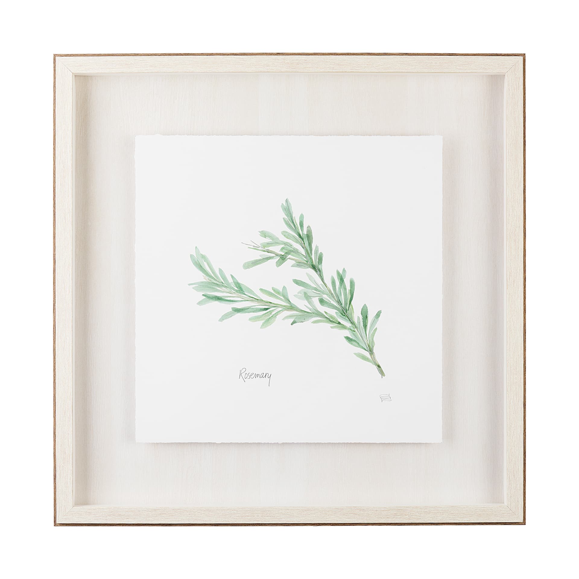Rosemary v2 by Chris Paschke a Framed Art Print Matted under Glass — product photograph