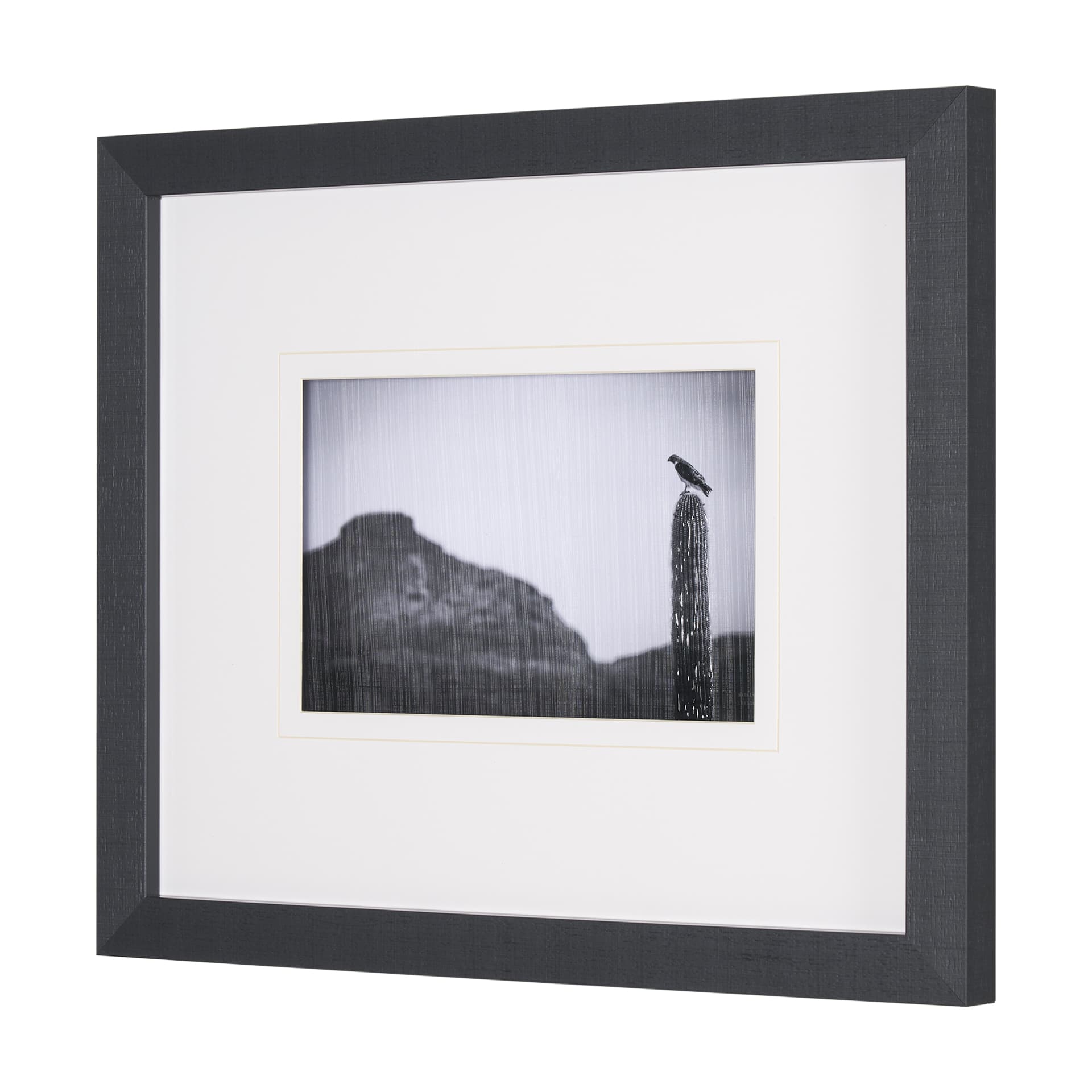 Desert Hunter by Nathan Larson a Hand Embelished Textured Framed Photo Art Print Matted under Glass — product photograph