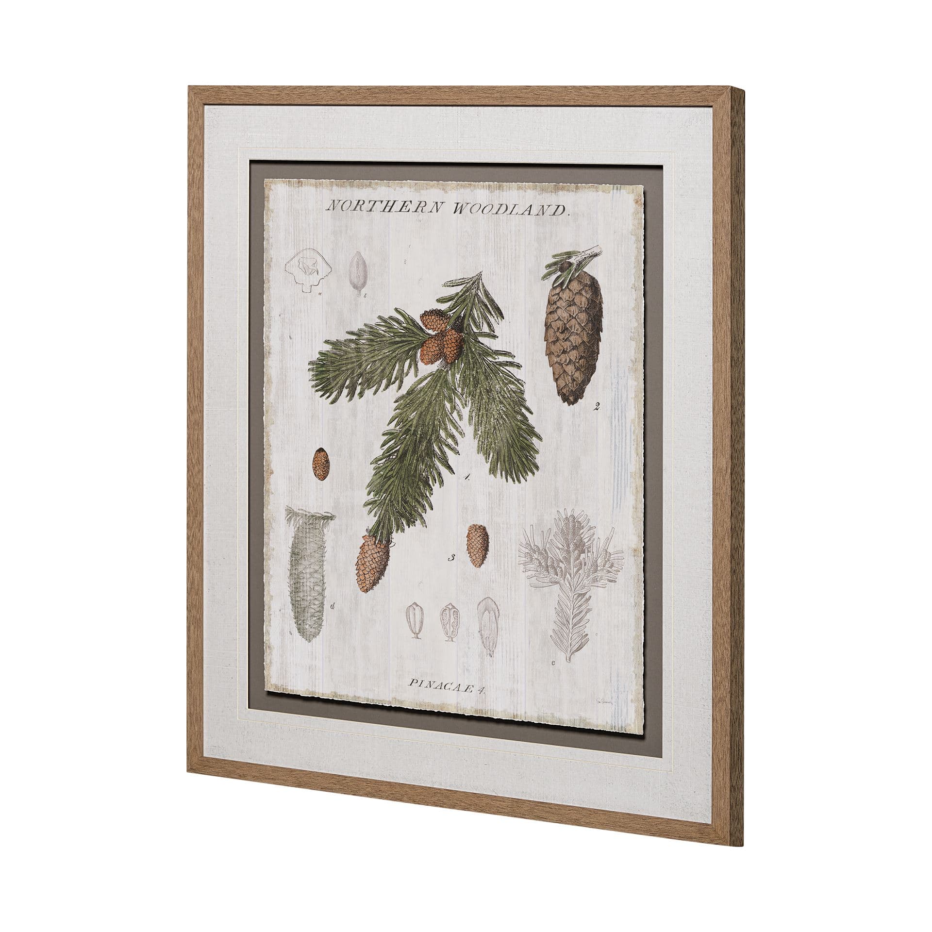Woodland Chart V by Sue Schlabach a Hand Embellished Textured Framed Art Print Matted under Glass — product photograph