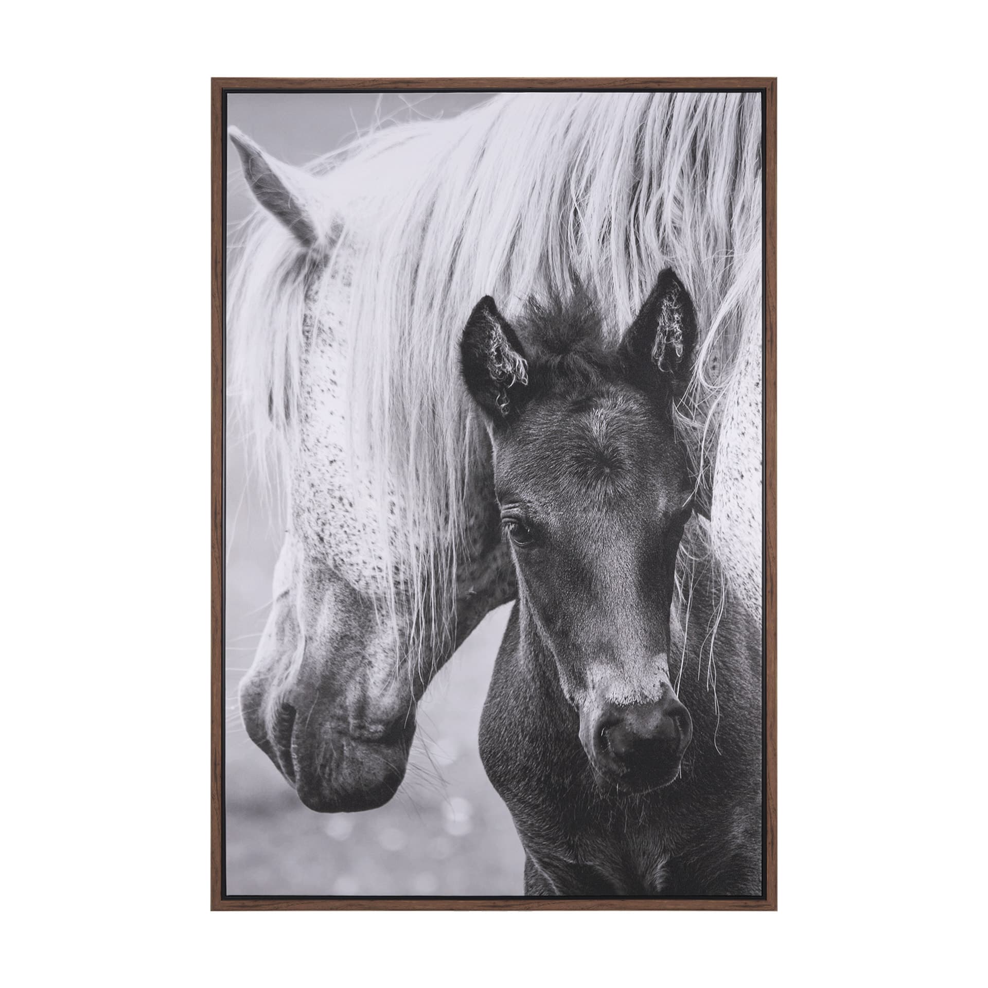 The Foal by Mercana Studio a Hand Embellished Textured Framed Canvas — product photograph