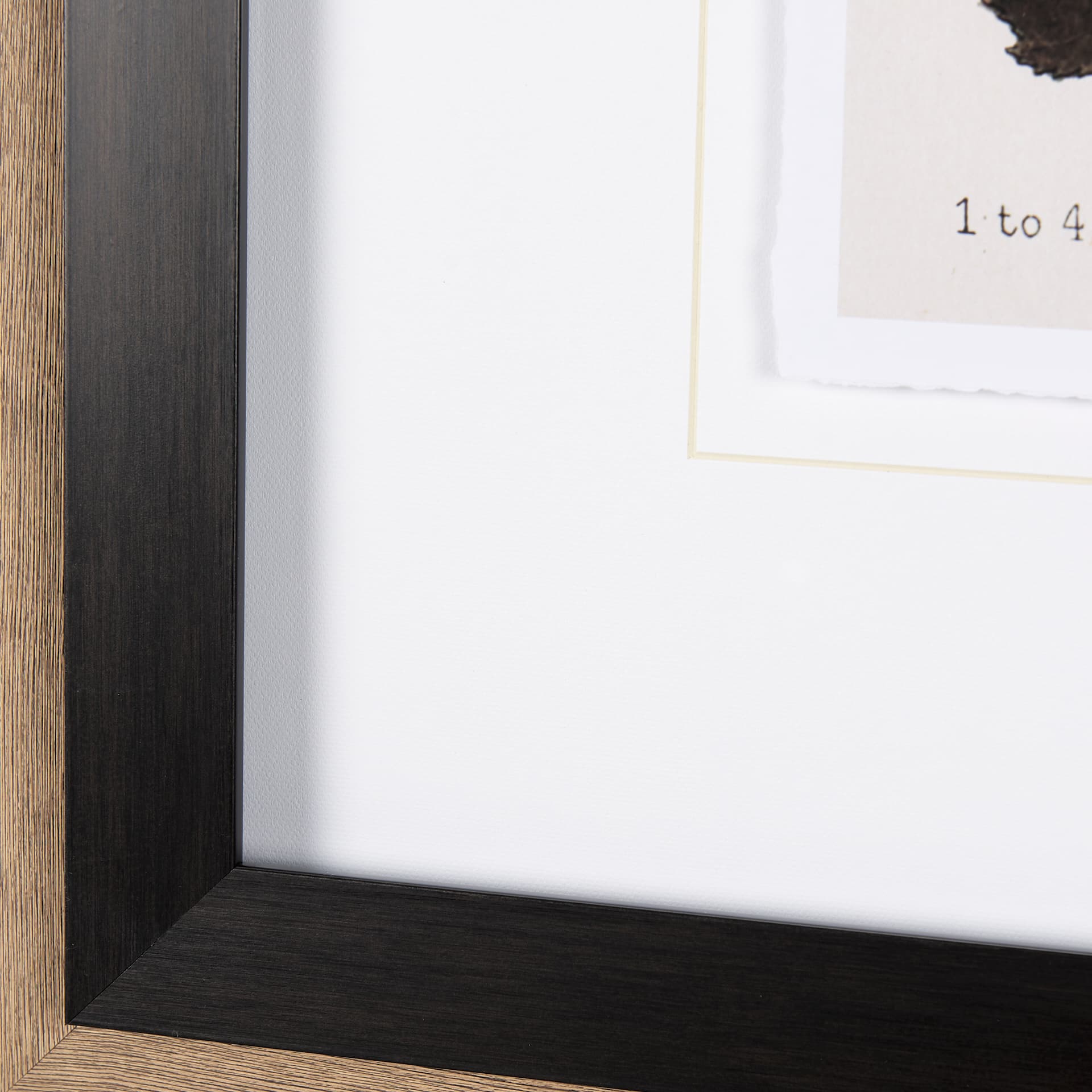 Autumnal Leaves VI by Vision Studio a Framed Art Print Matted under Glass — product photograph