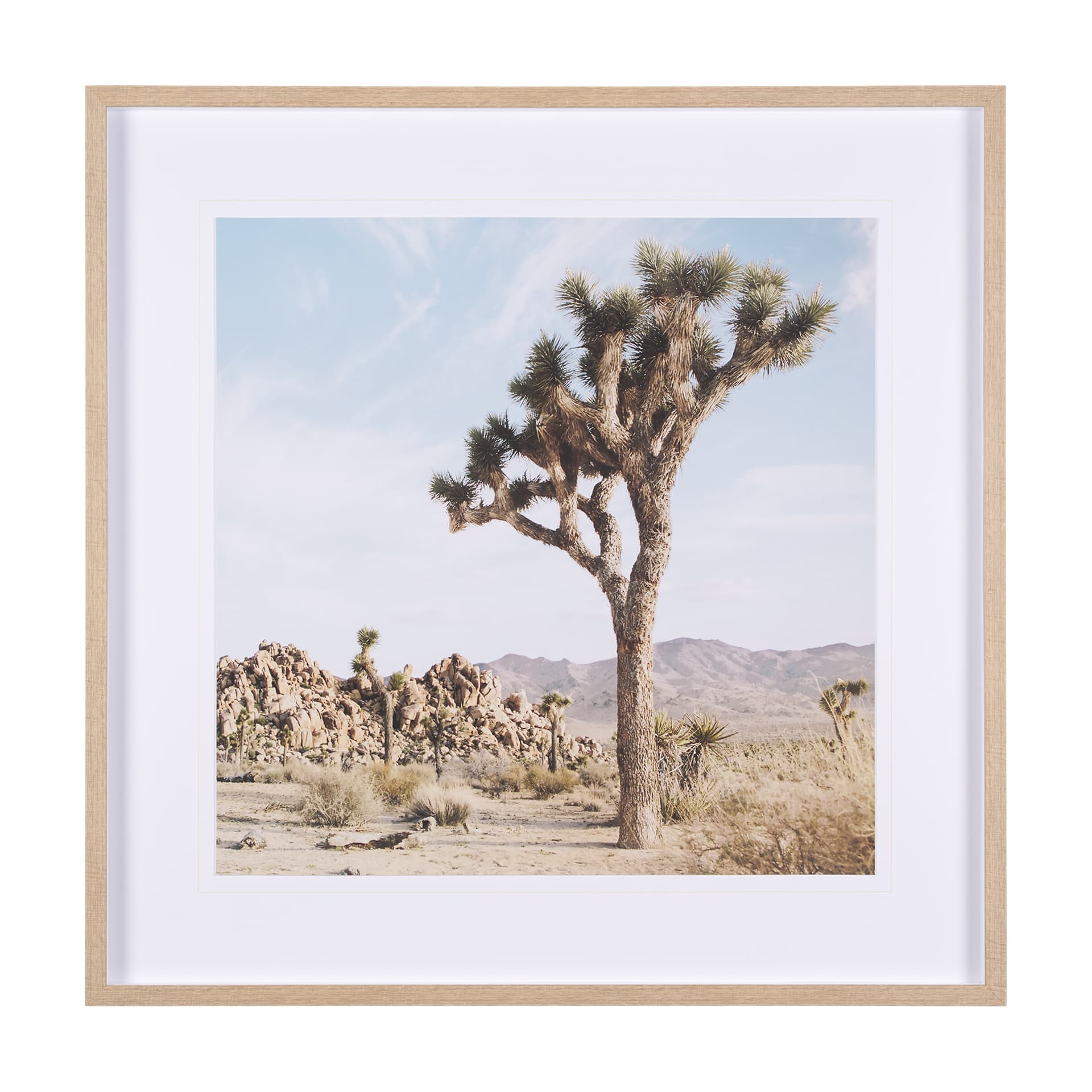 Joshua Tree 3 by THE Studio a Framed Photo Art Print Matted under Glass — product photograph