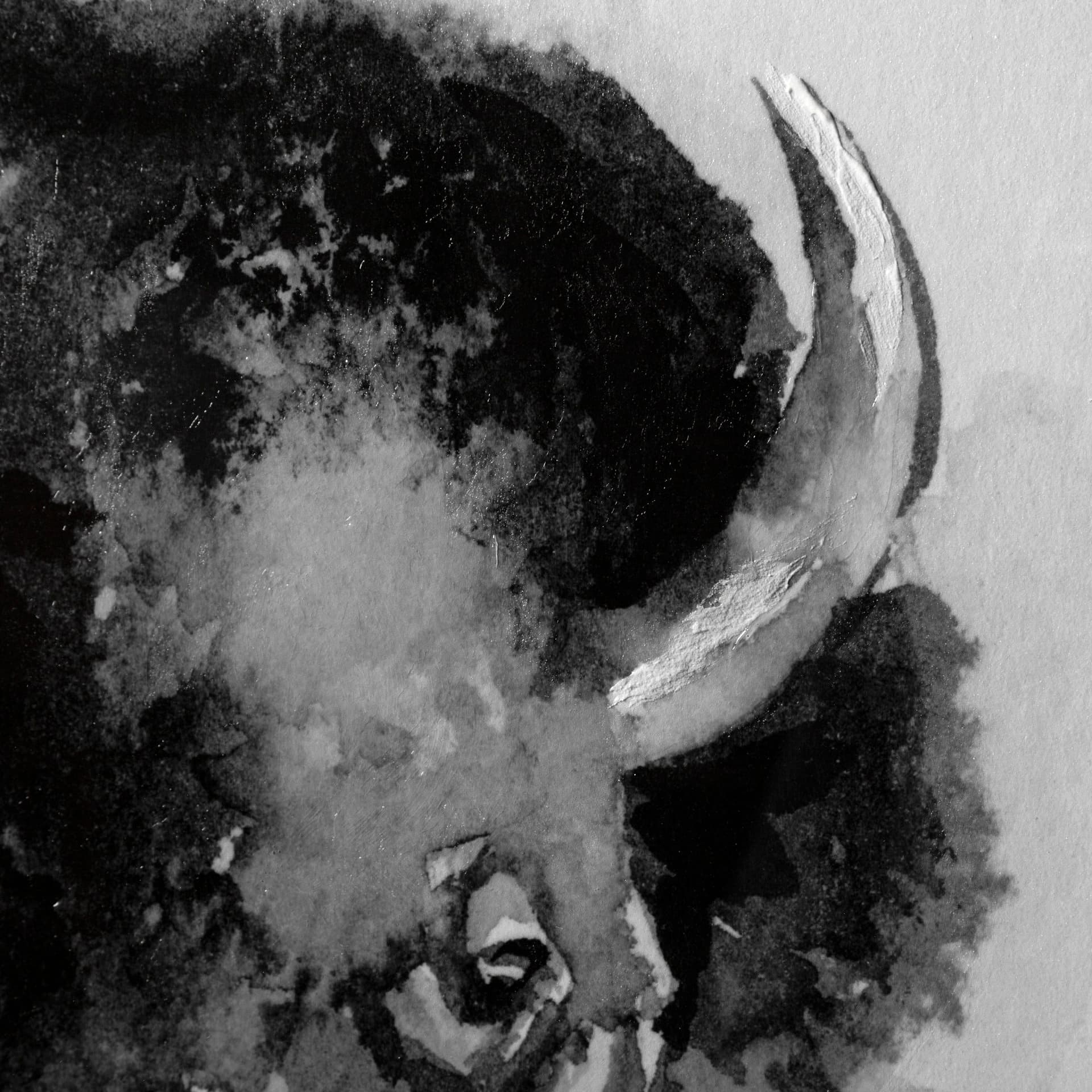 Bison I by Mercana Studio a Hand Embellished Textured Framed Art Print Matted under Glass — product photograph