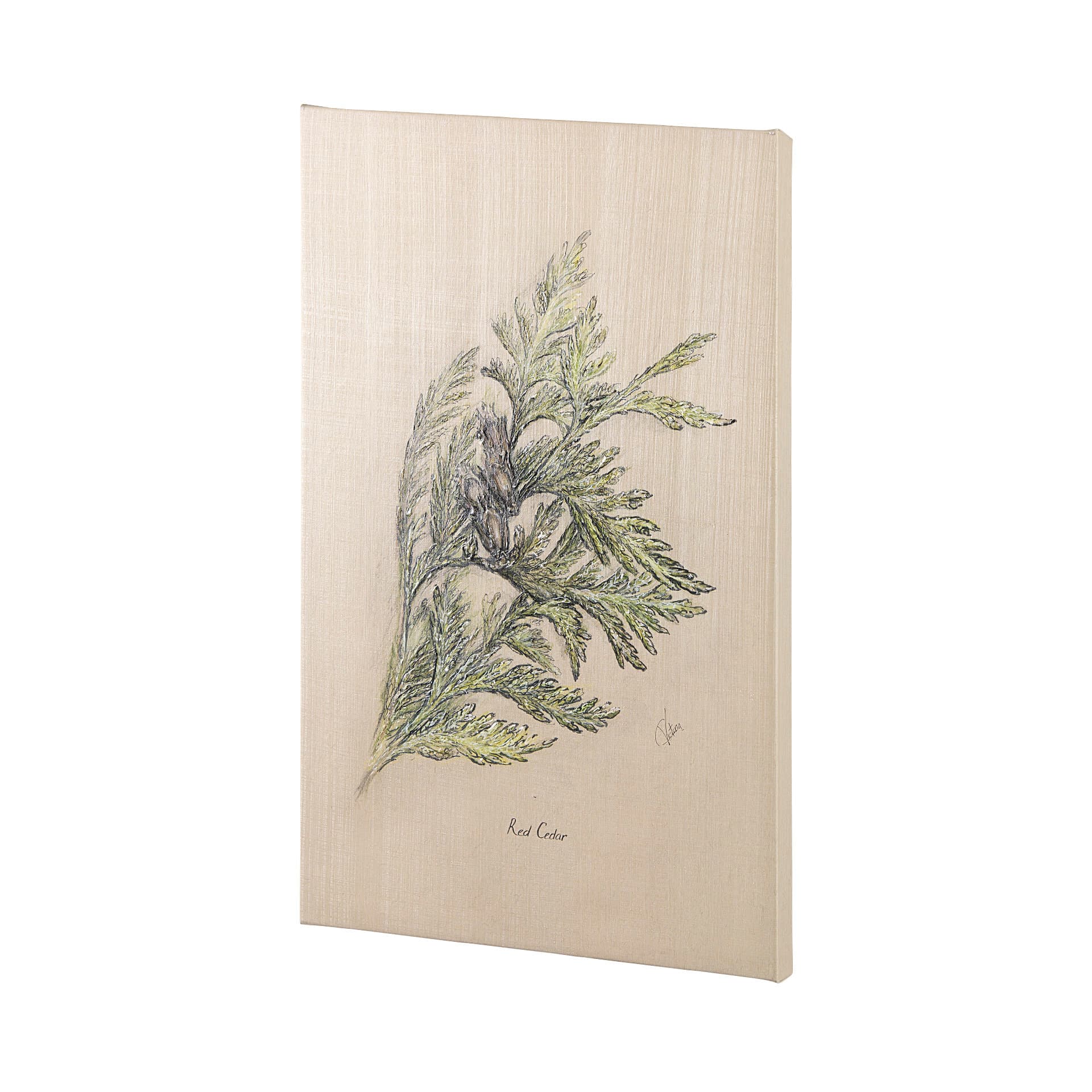 Evergreen collection III by Victoria a Hand Embellished Textured Canvas — product photograph