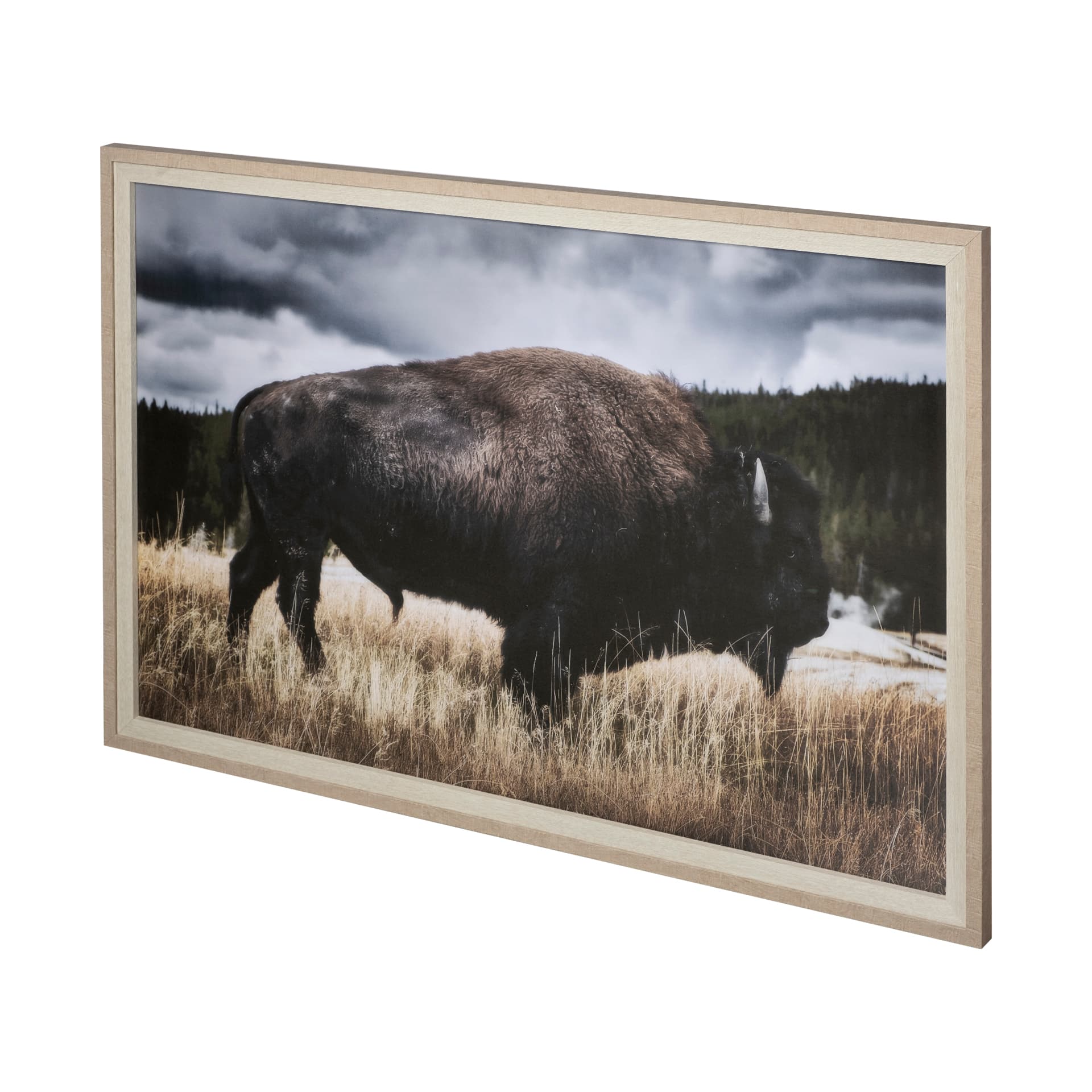 Yellowstone Bison by Dunker a Framed Photo Art Print Matted under Glass — product photograph
