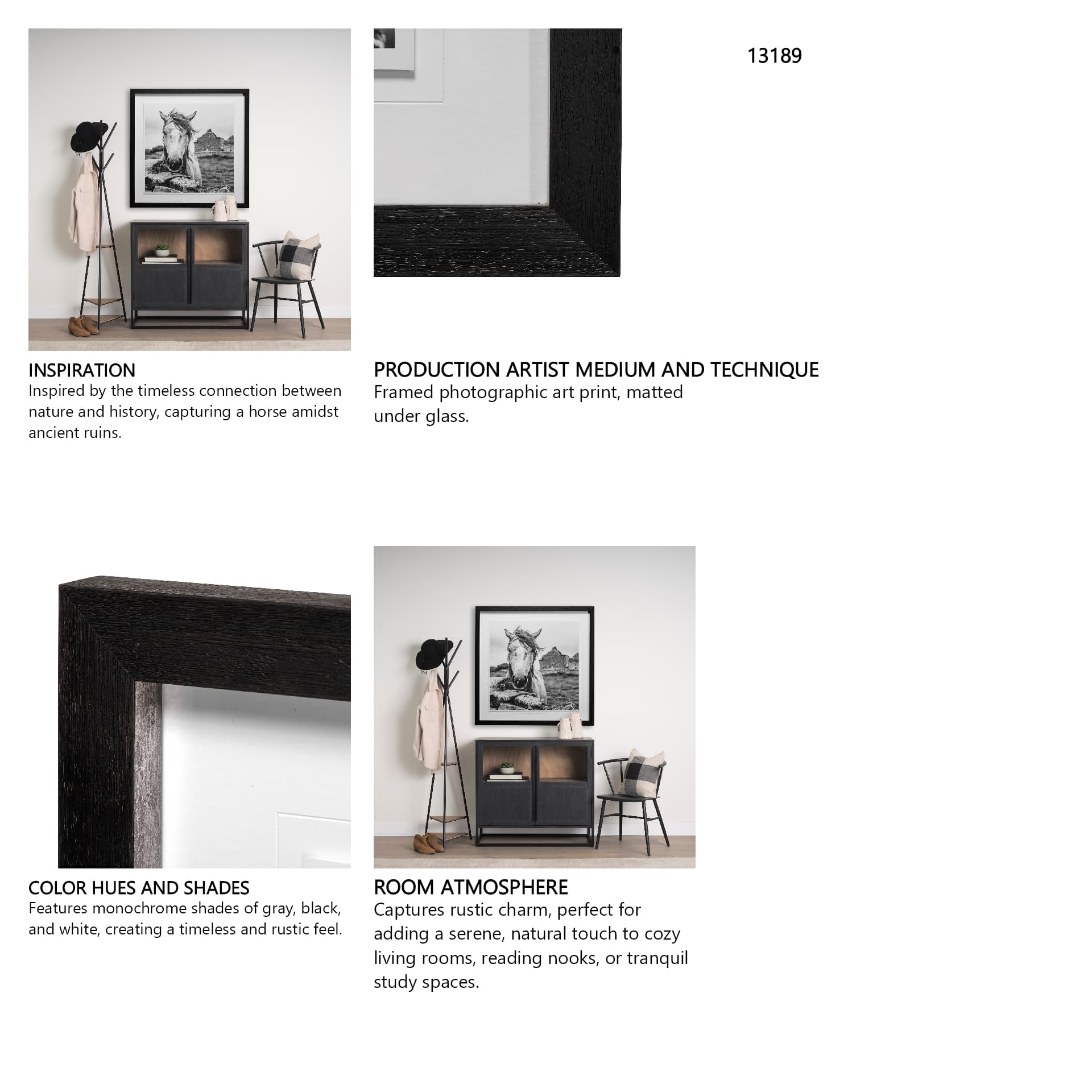 Ireland Black & White by Arabella Studios a Framed Photo Art Print Matted under Glass — in a styled room