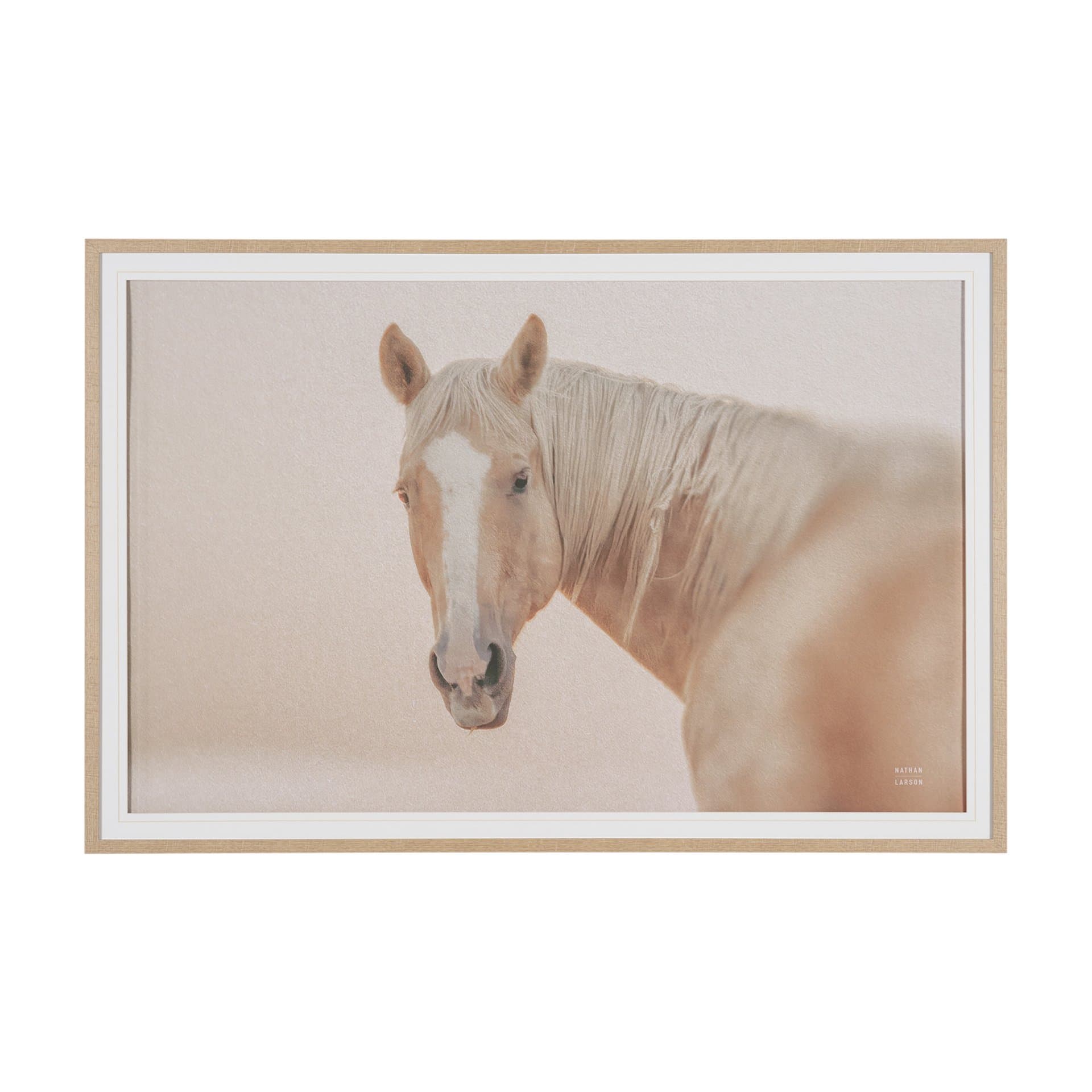 Looking Back by Nathan Larson FramedPhoto Print Matted under Glass — product photograph
