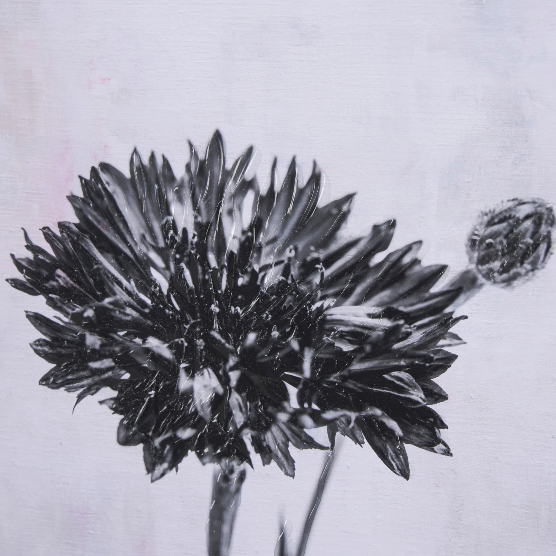 Wonderful Wildflowers VIII Neutral by Deborah Revell a Hand Embellished Framed Art Print Matted unde — product photograph