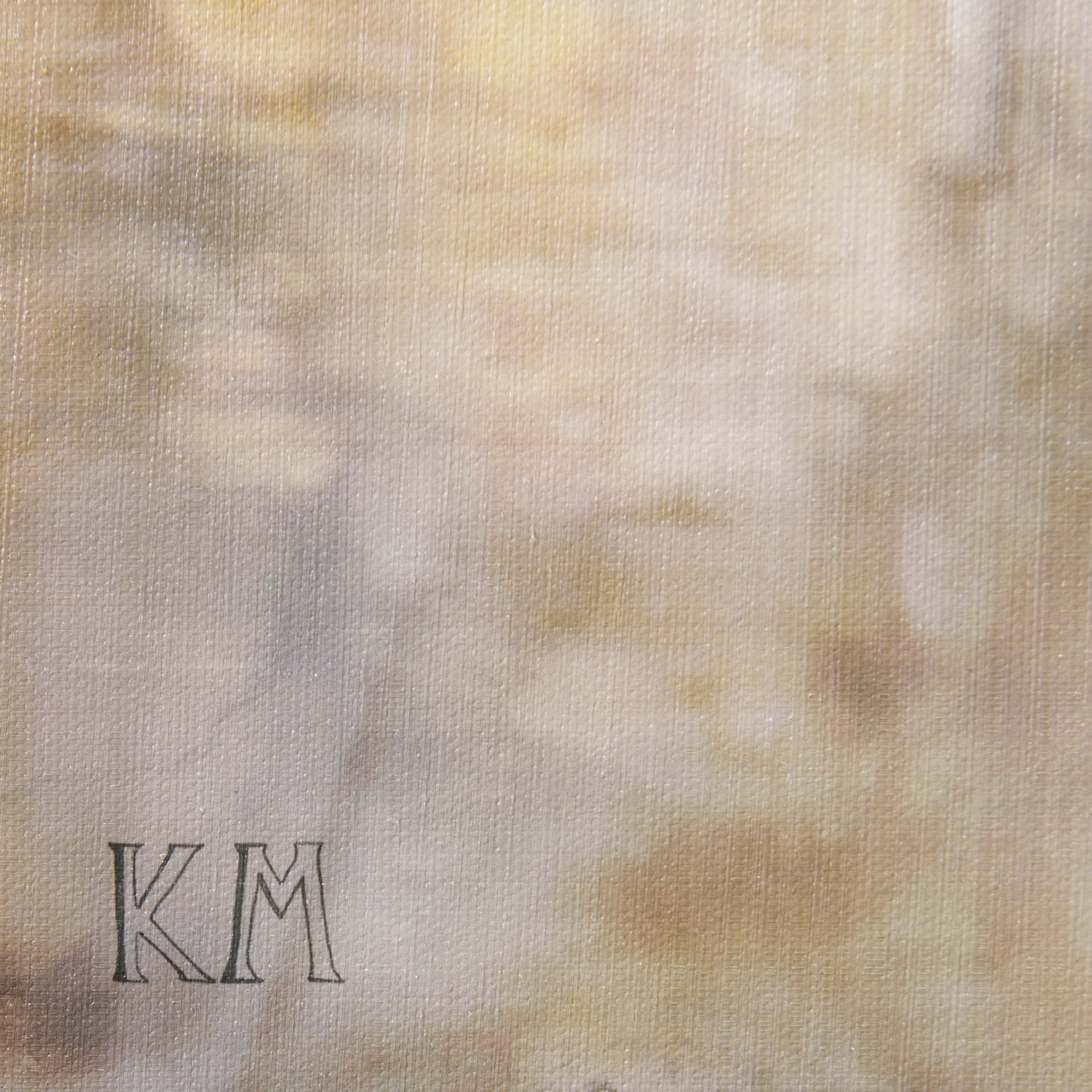 City Fox by Mercana Studio a Hand Embellished Textured Canvas — product photograph