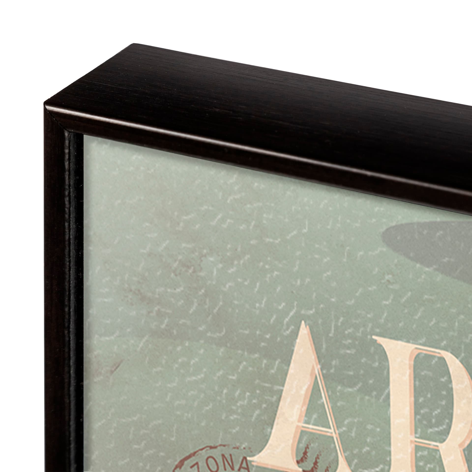 Arizona Go USA (SM) by Mercana Studio a Hand Embellished Decograph Framed Art Print — product photograph