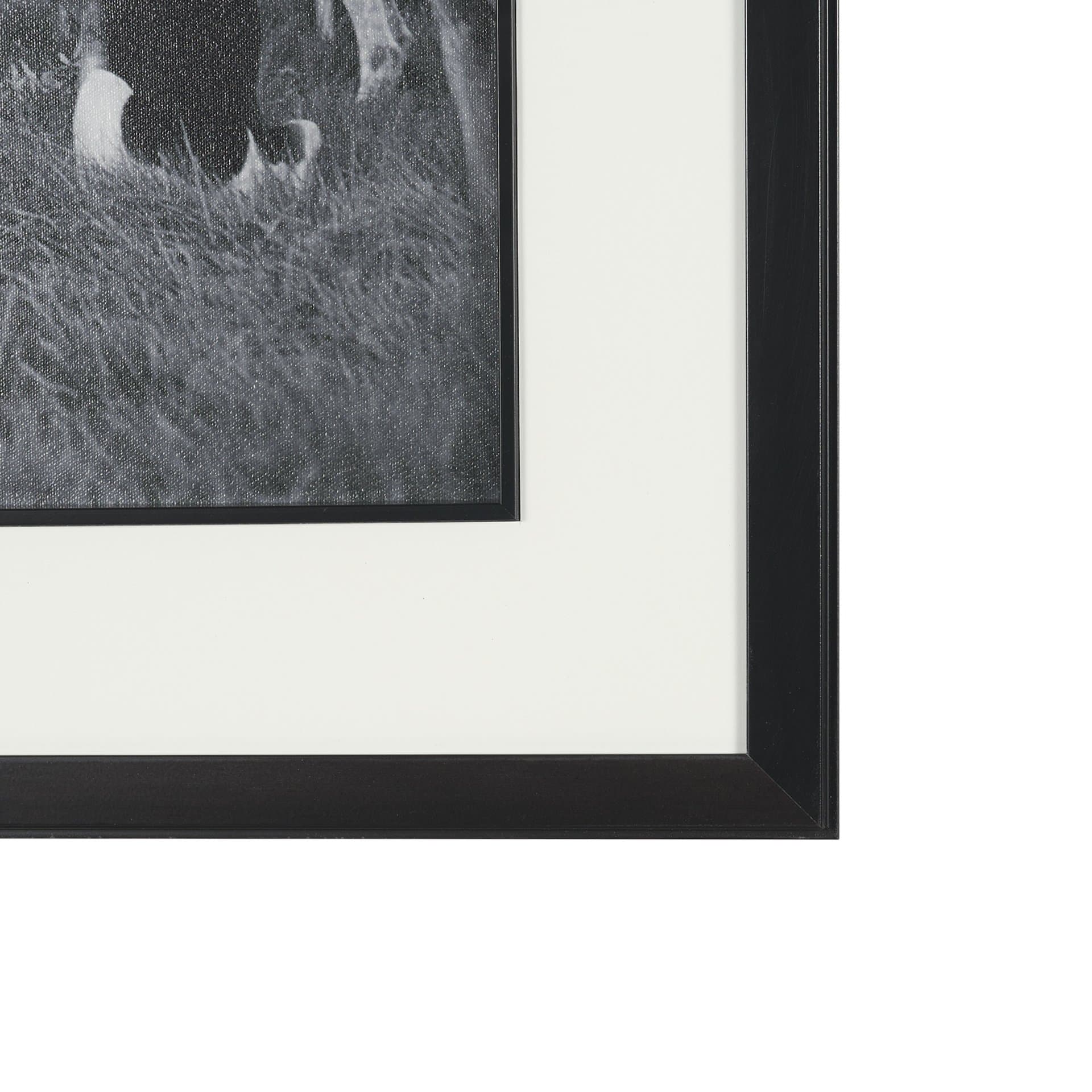 The Gathering by The Chelsea Collection Textured FramedPhoto Print Matted under Glass — product photograph