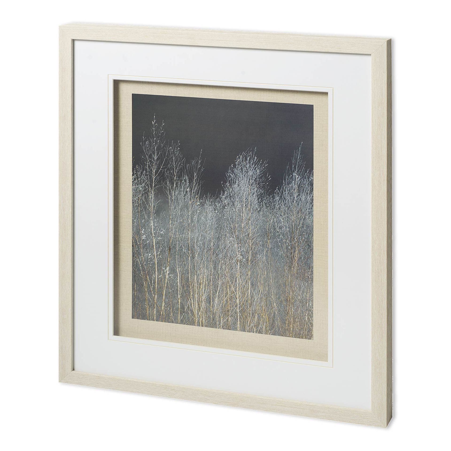 Silver Forest I by Frank, Assaf a Framed Photo Art Print Matted under Glass — product photograph