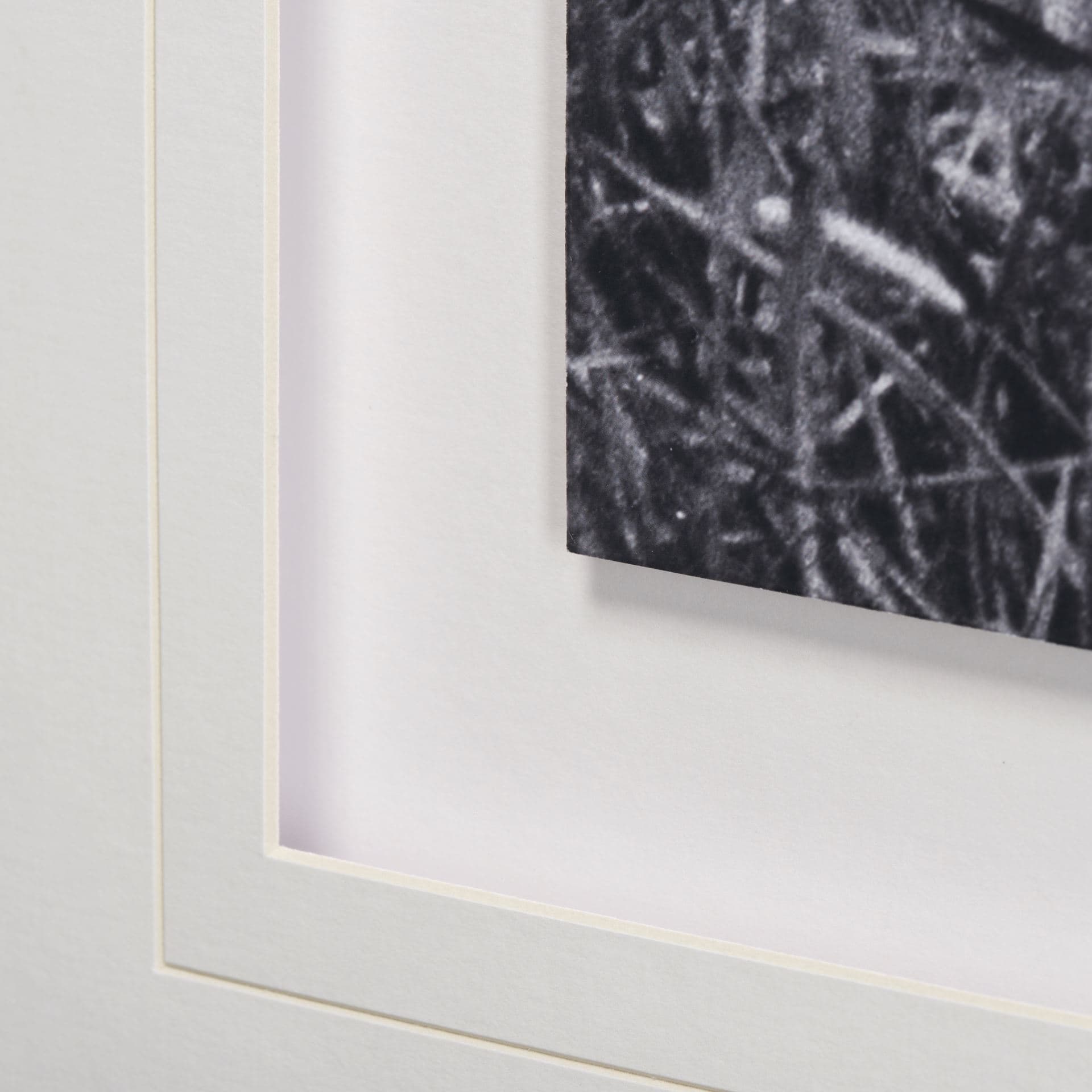 Curiosity by The Vintage Collection a Hand Embellished Textured Framed Art Photo Matted under Glass — product photograph
