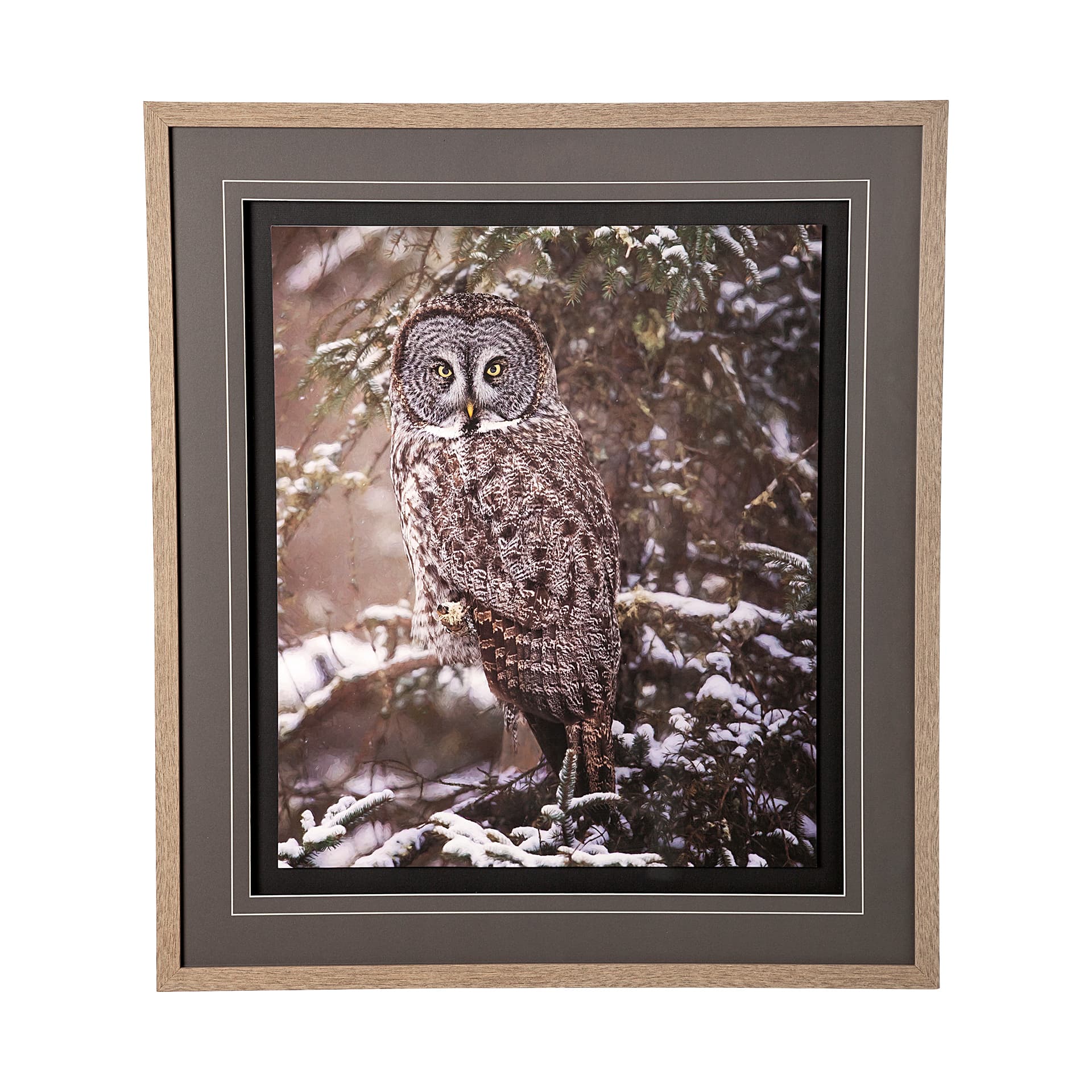 Owl in the Snow by PHBurchett a Framed Photo Art Print Matted under Glass — product photograph