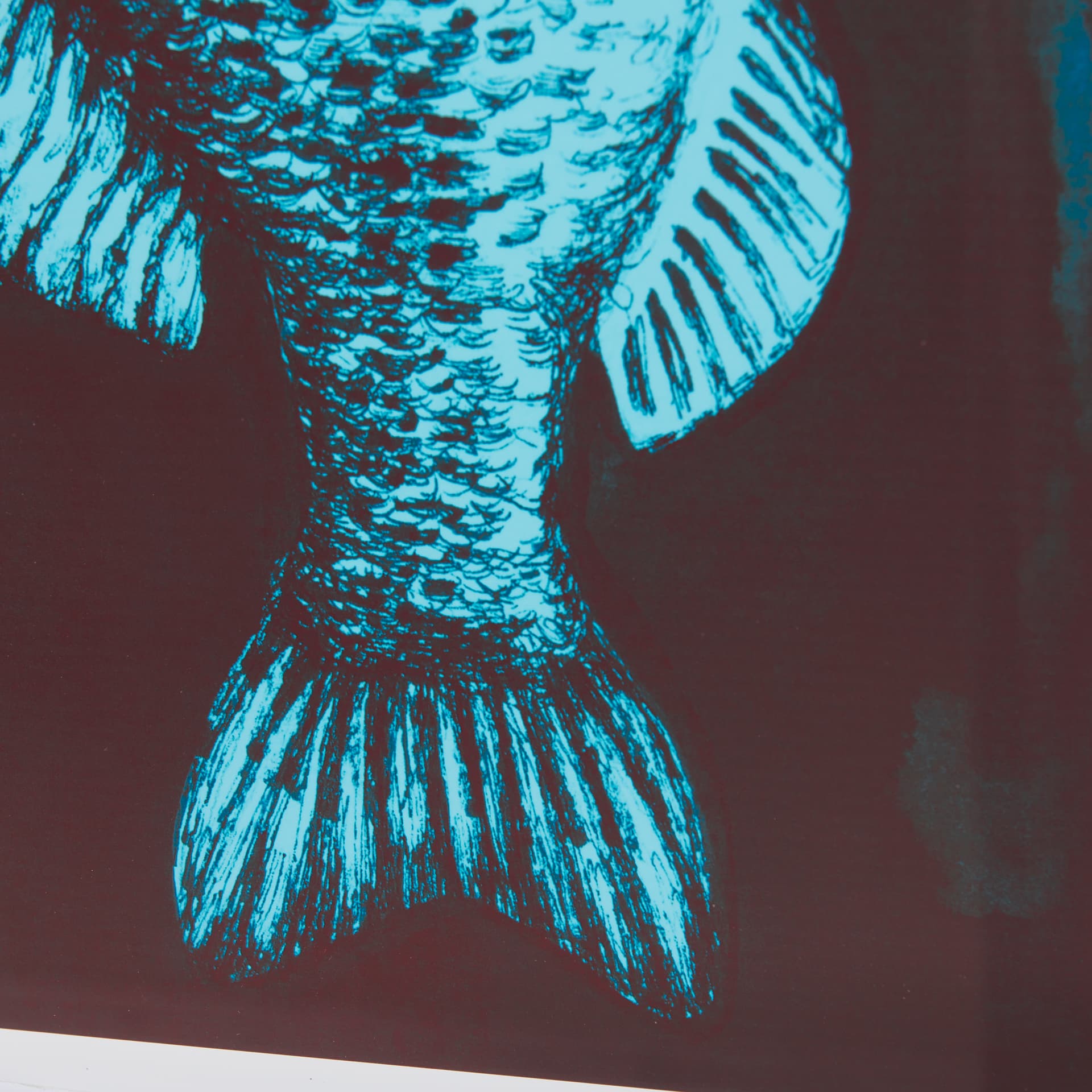Largemouth Bass Print 4 in 1 by Simeng a Framed Art Print Matted under Glass — product photograph