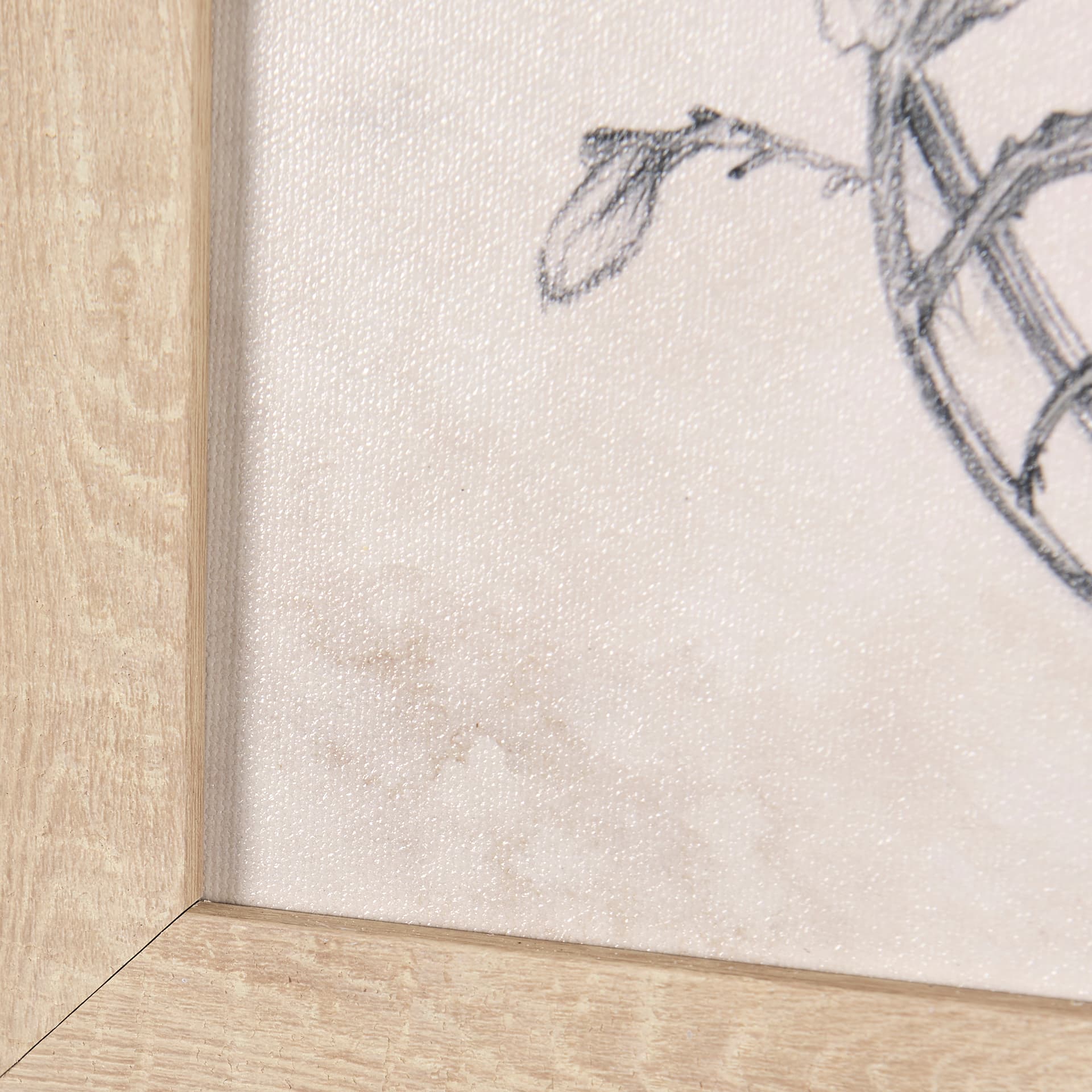Chamomile Drawing I by Mercana Studio a Hand Embellished Textured Framed Art Print — product photograph