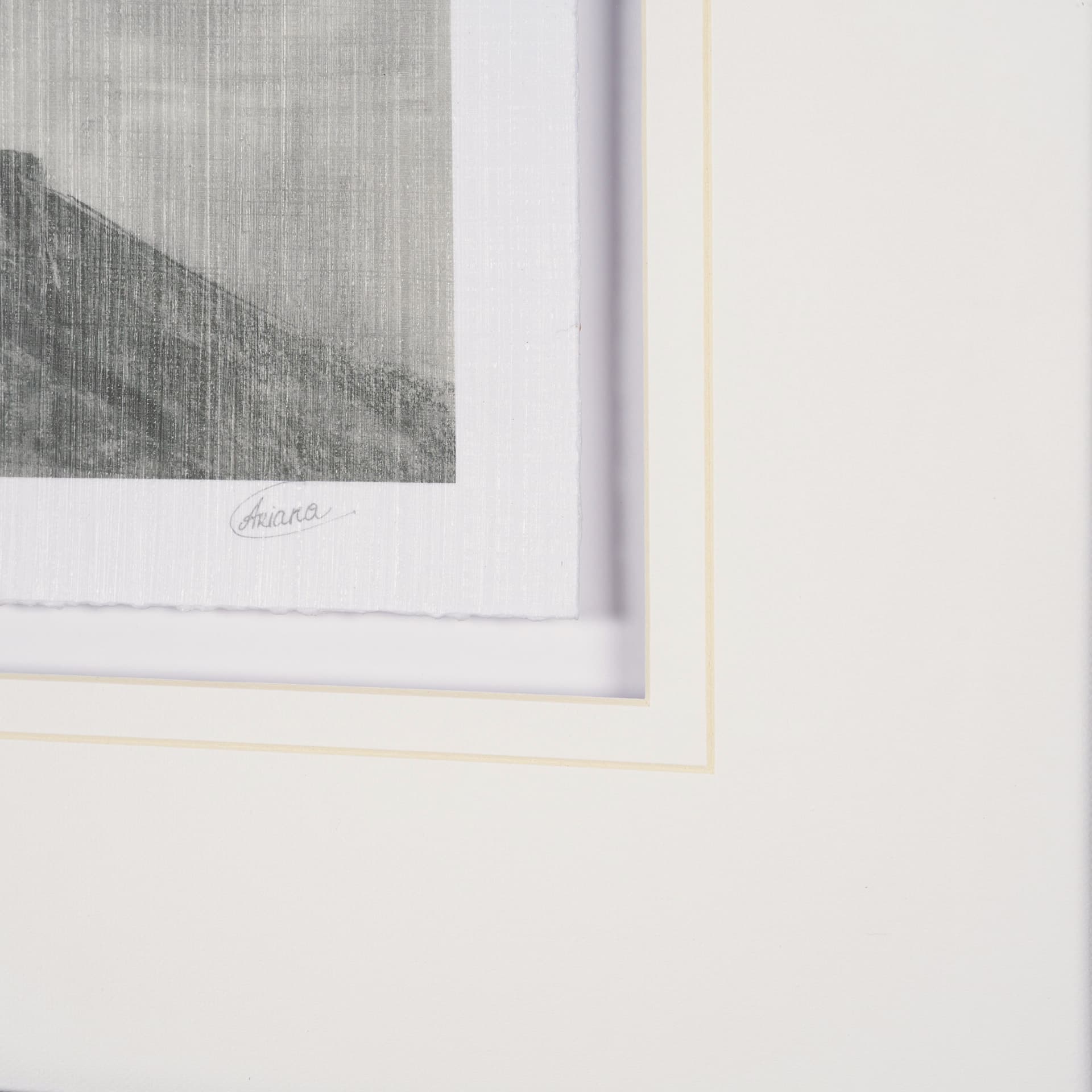 Heron Sketch by Mercana Studio a Hand Embellished Framed Art Print Matted under Glass — product photograph