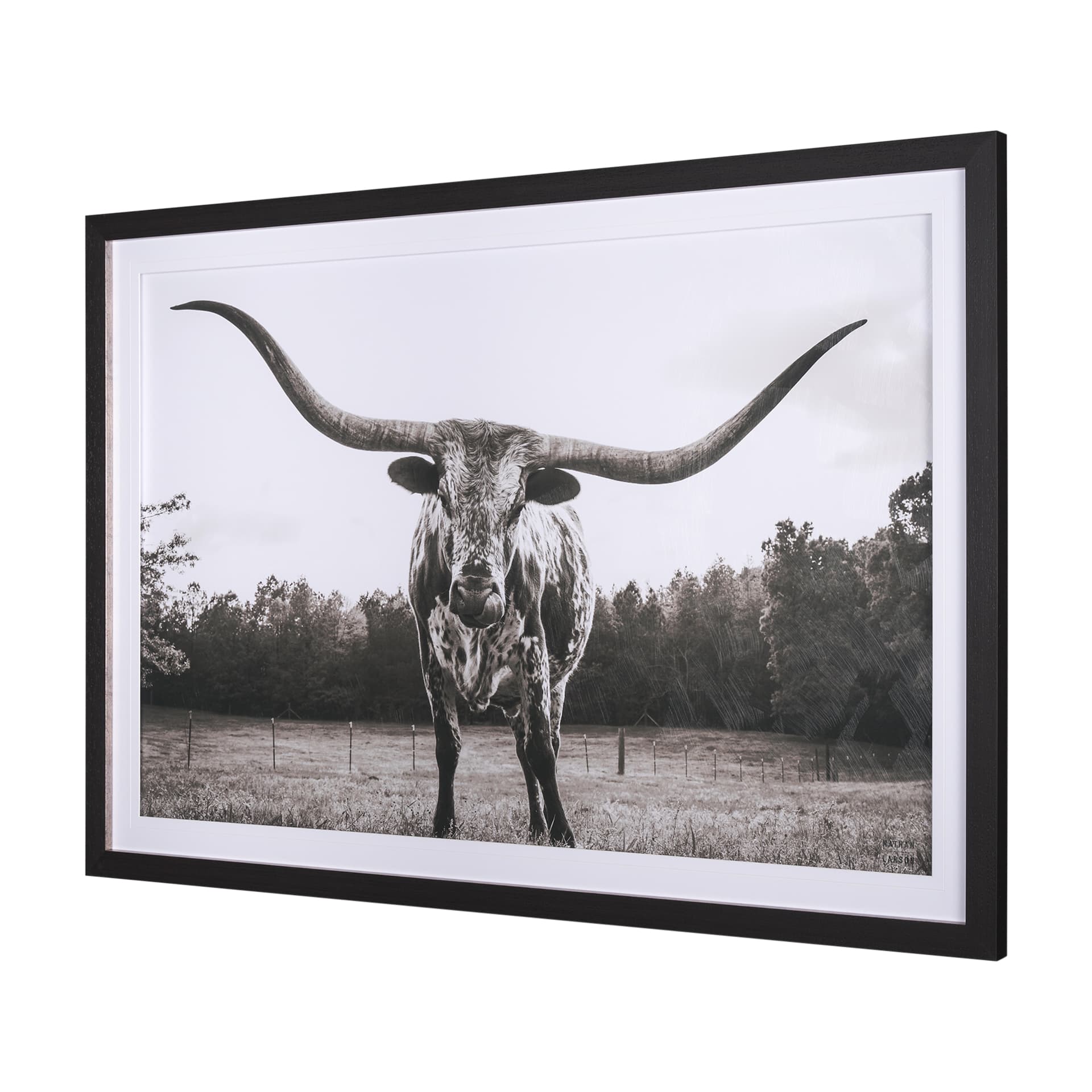 Longhorn Last Call BW by Nathan Larson Hand Embelished Textured Framed Photo Art Print Matted under — product photograph