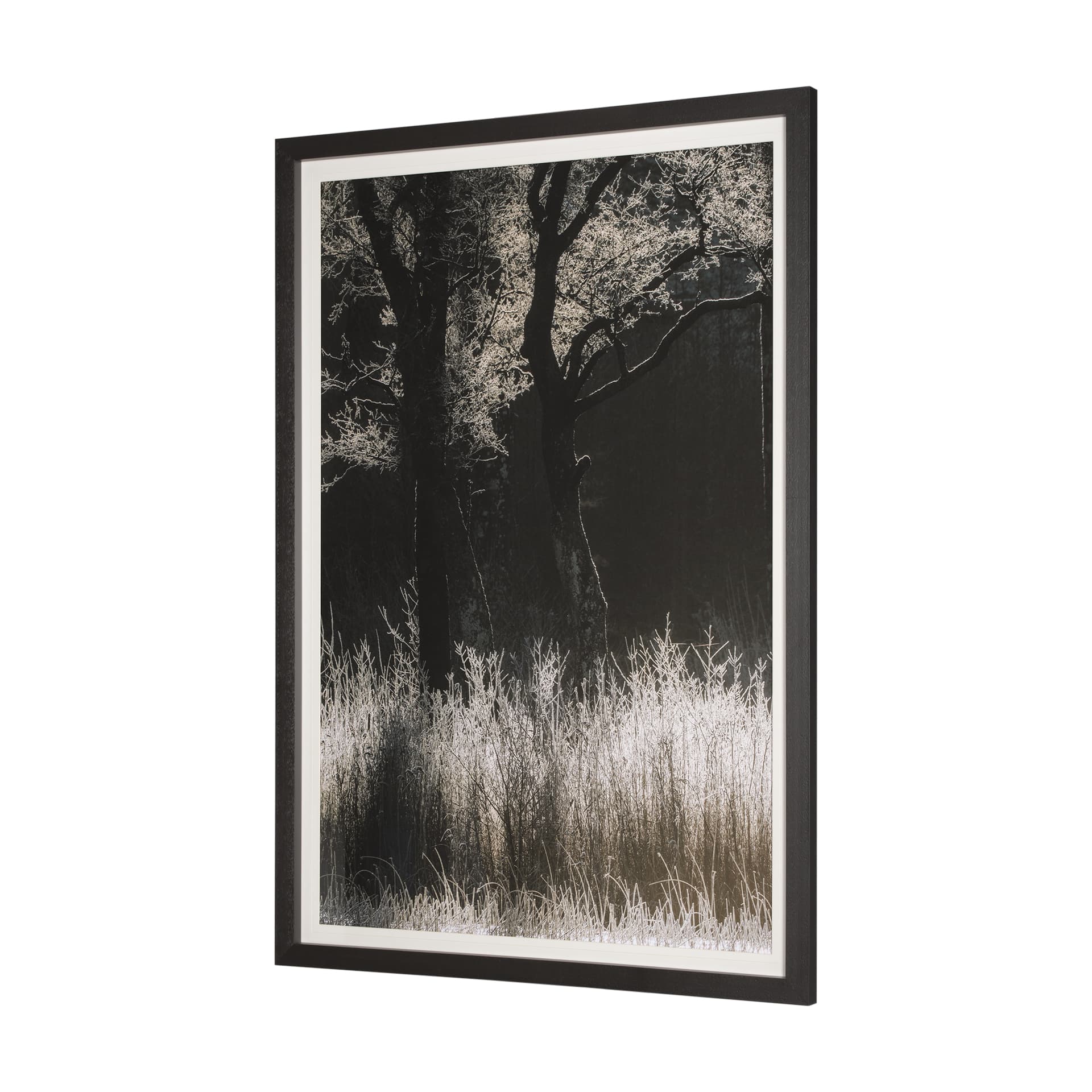 Tranquil Symmetry I by Mikael Svensson a Framed Photo Art Print Matted under Glass — product photograph