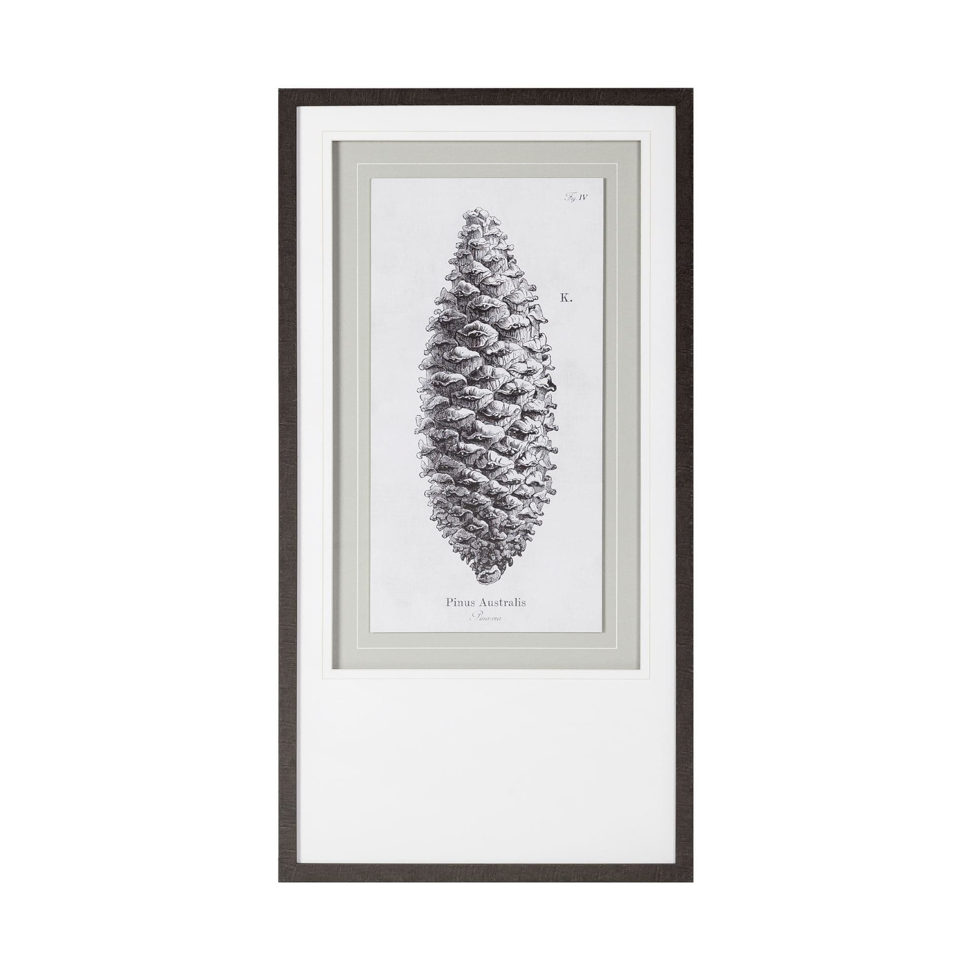 Pinus Australis by Maria Mendez a Framed Art Print Matted under Glass — product photograph