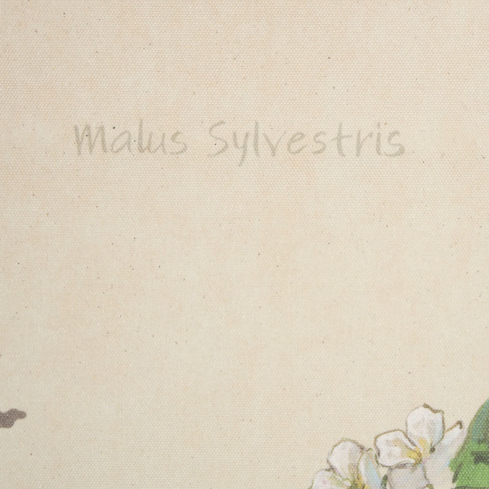 Botanical Study-Malus Sylvestris by Mercana Studio a Hand Embelished Textured Framed Art Print — product photograph