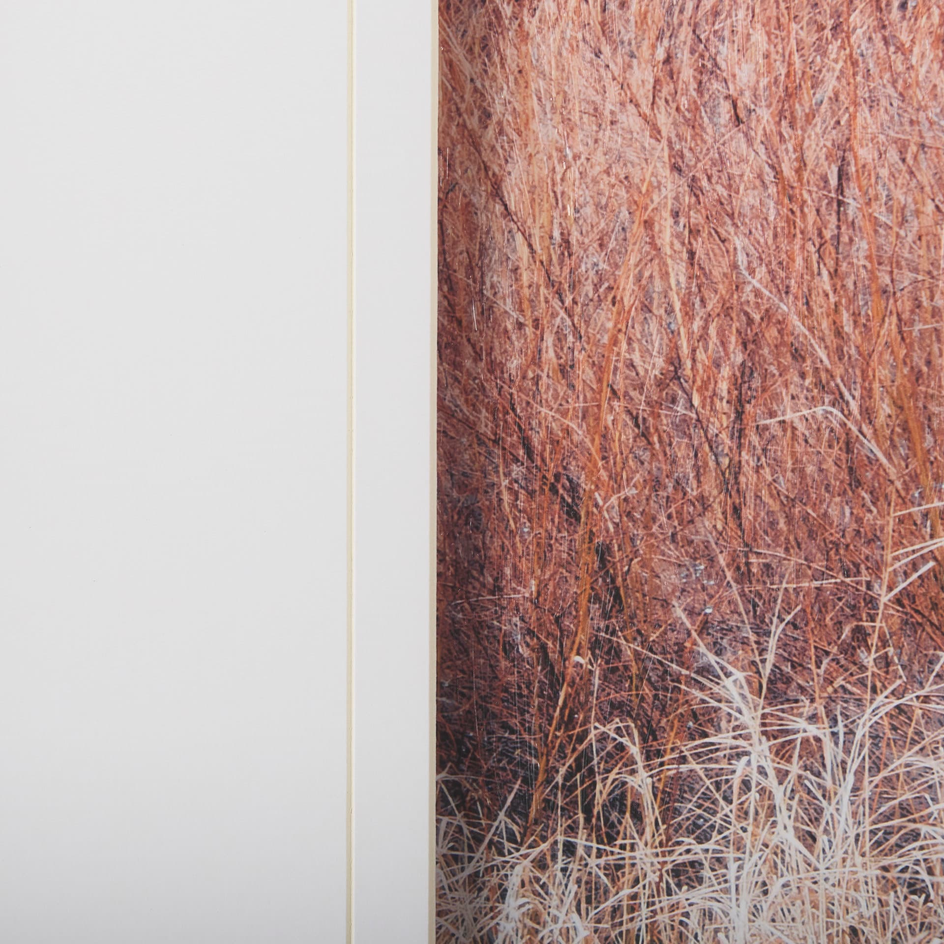 Woddlland pastels by Mercana Studio a Hand Embellished Textured Framed Photo Art Print Matted under — product photograph