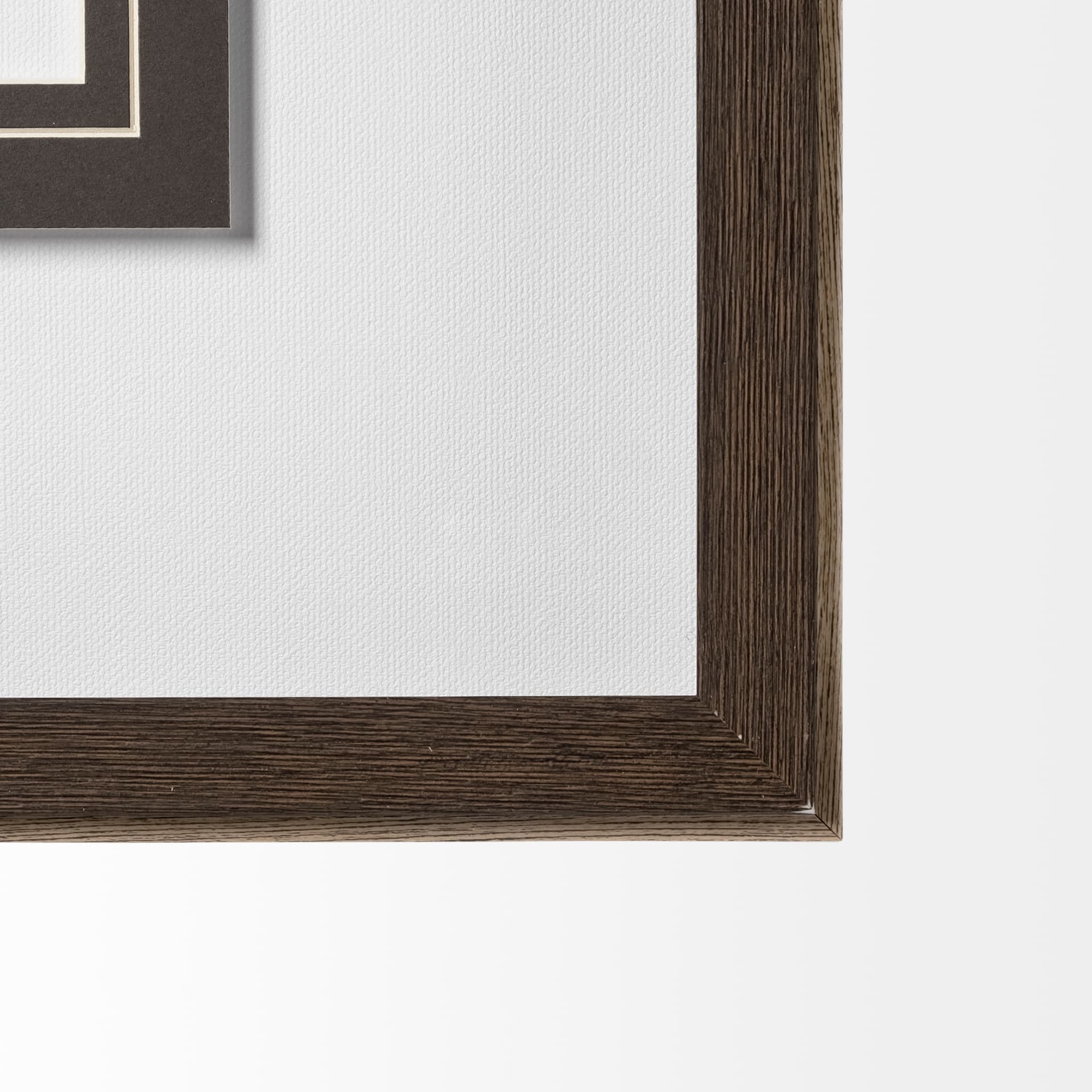 AZ Botanical 38 by Dunker a Framed Art Print Matted under Glass — product photograph
