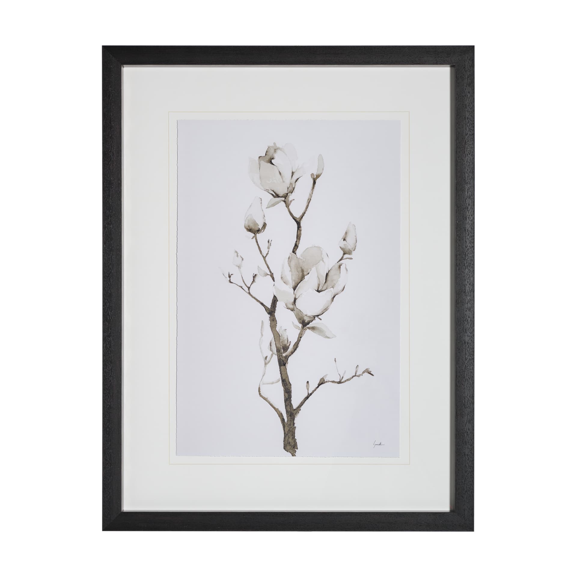 Magnolia II by Gabrielle C a Framed Art Print Matted under Glass — product photograph