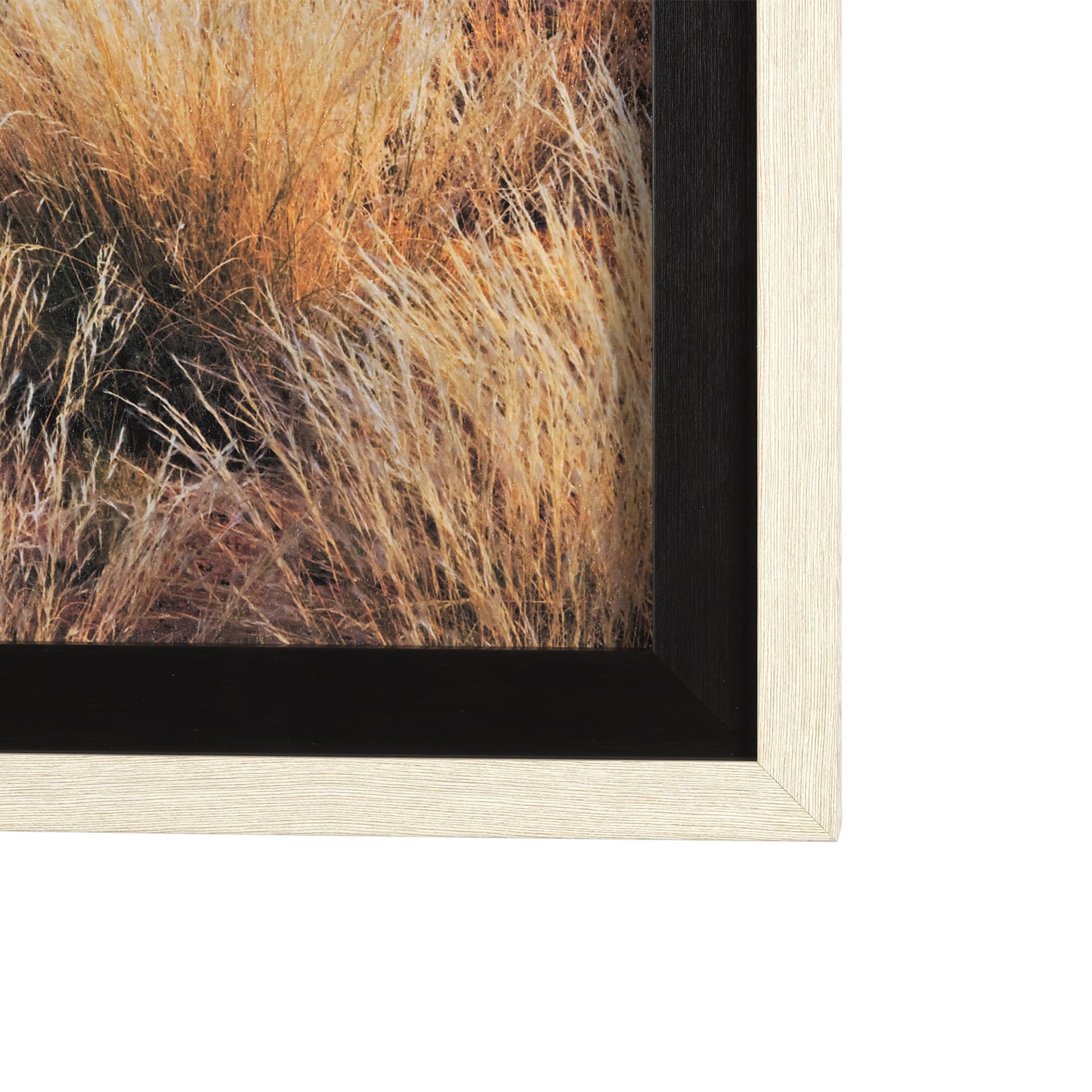 Bold Adventure by Mercana Studio a Hand Embellished Textured Framed Art Photo Matted under Glass — product photograph