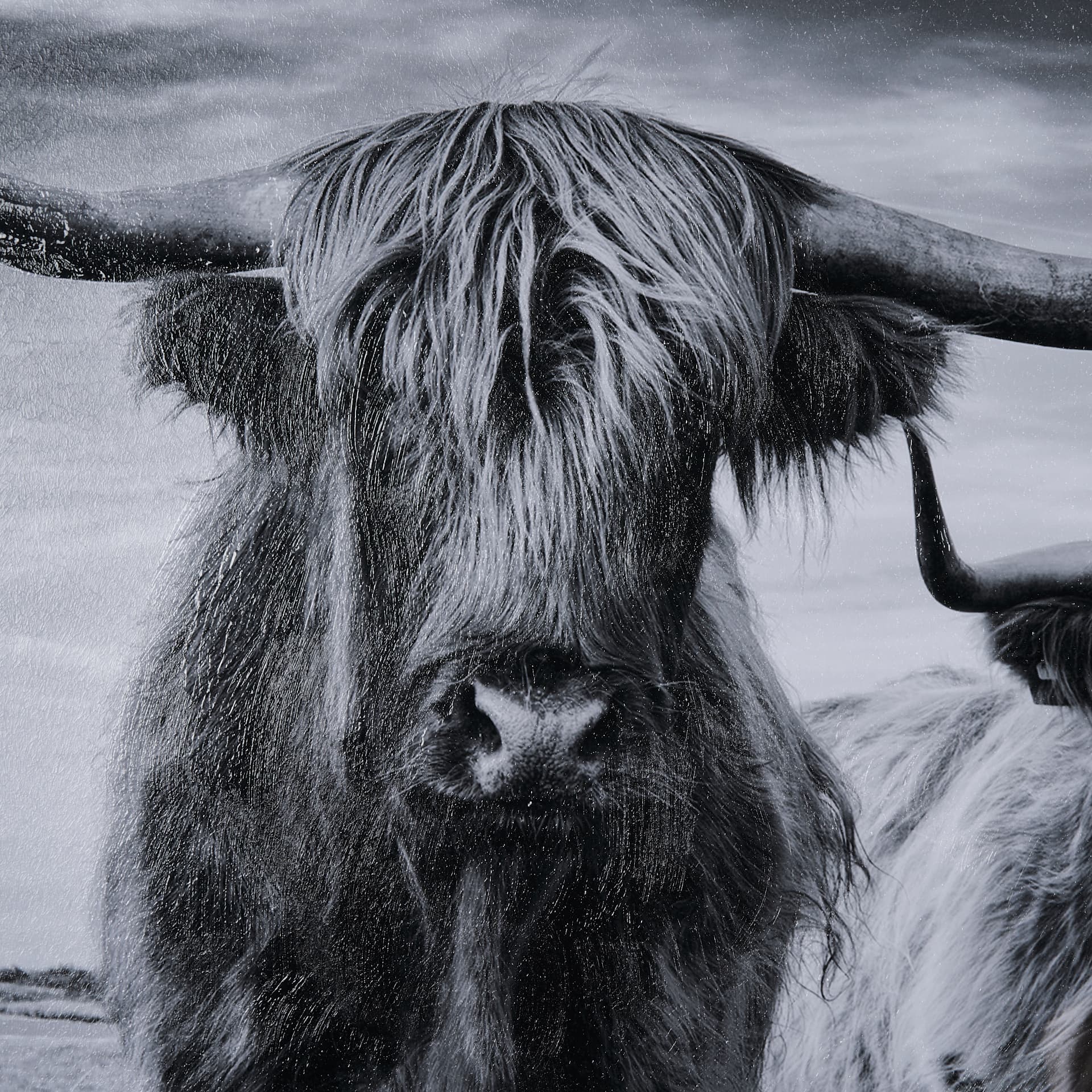 Highlands by Mercana Studio a Hand Embellished Textured Framed Photo Art Print Matted under Glass — product photograph