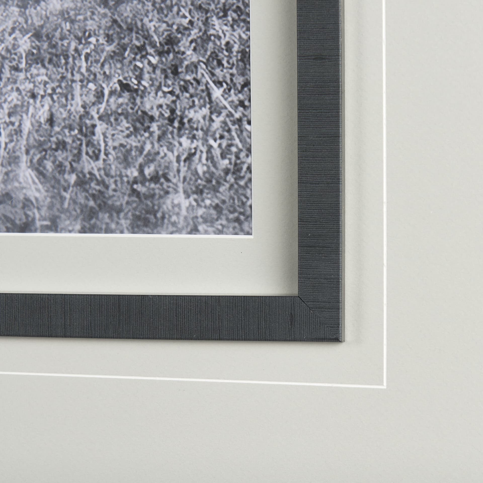 Babies on Board by Mercana Studio a Framed Photo Art Print Matted under Glass — product photograph