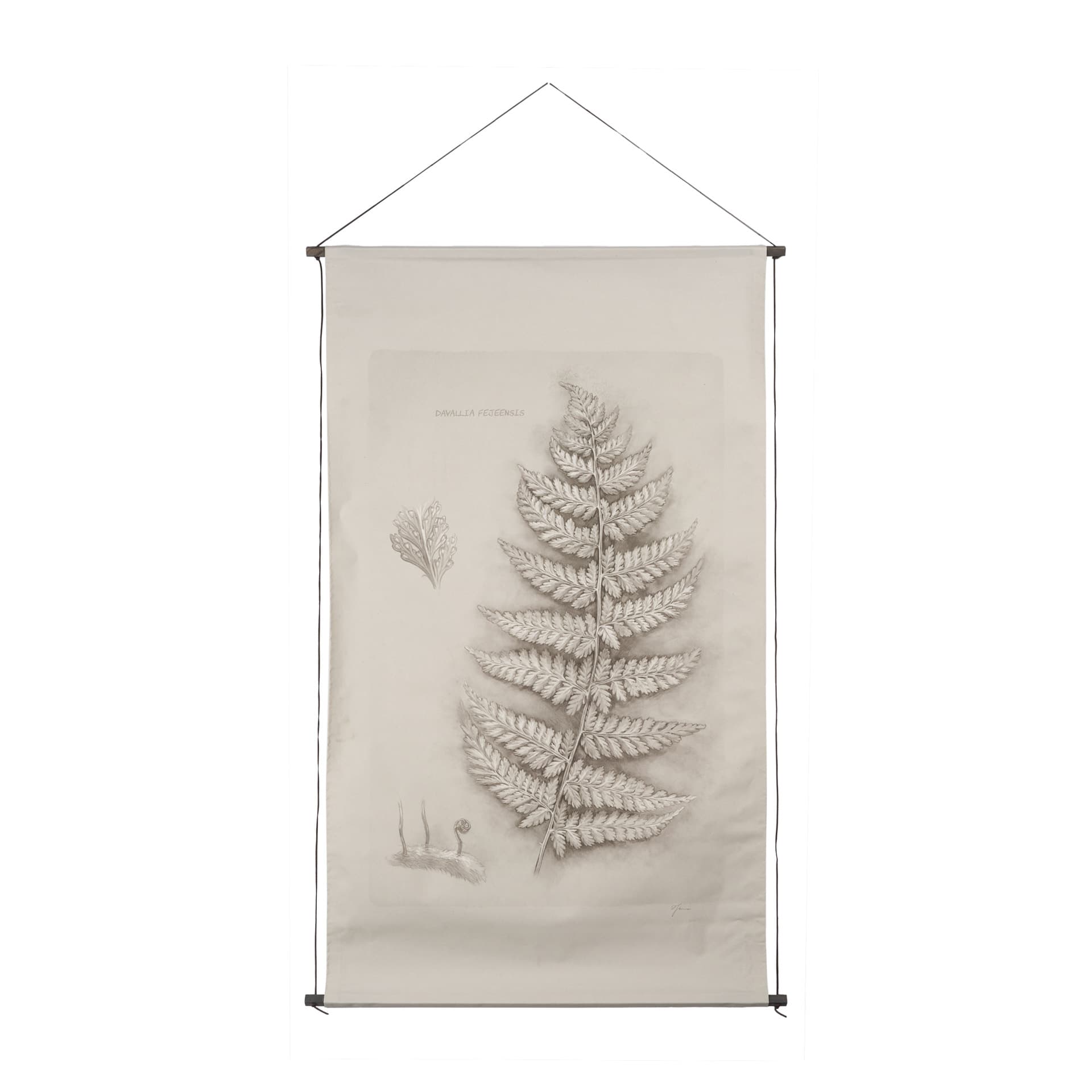Fern Study II (Davallia Fejeensis) by Mercana Studio a Hand Embellished Framed Art Print — product photograph