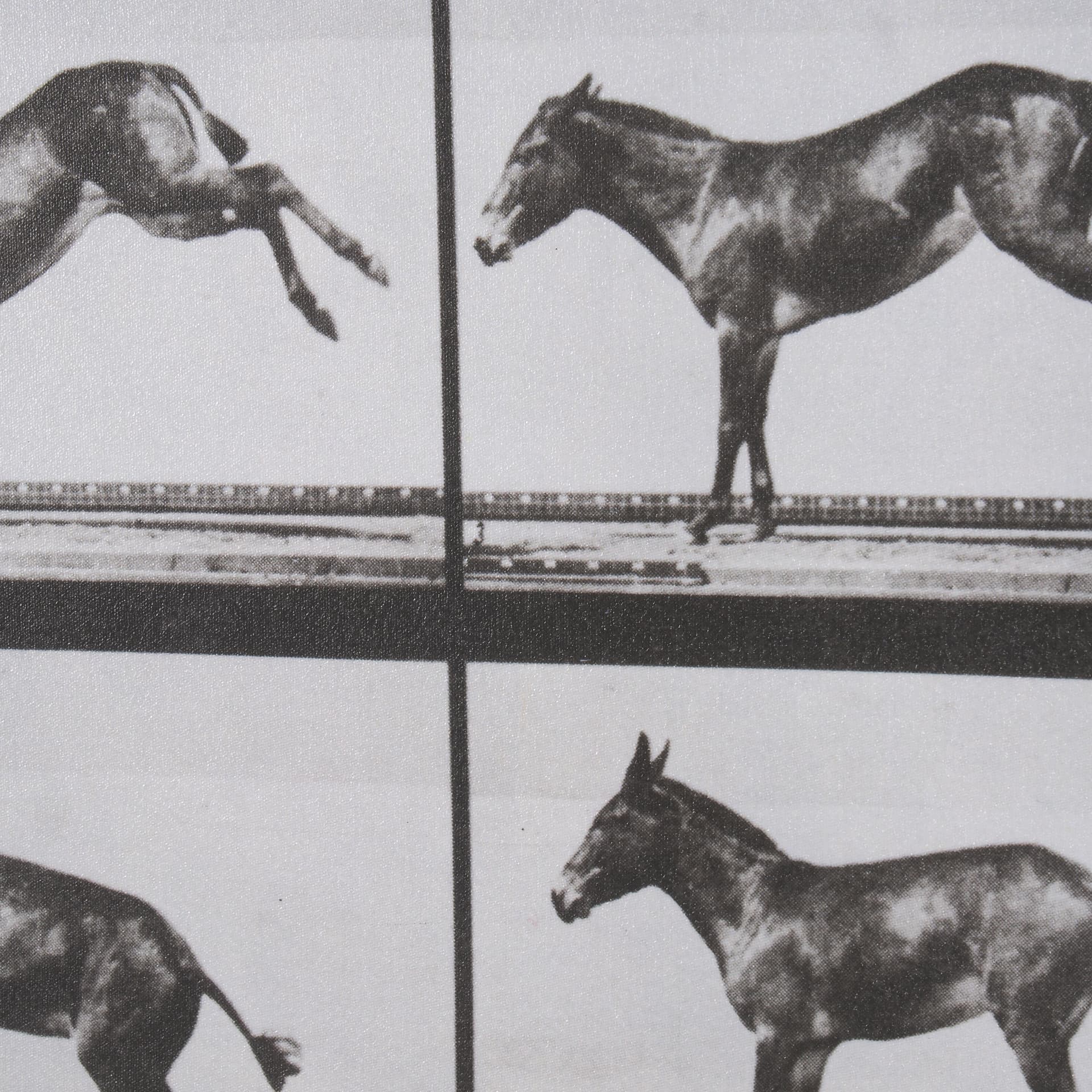 Bucking and Kicking by Eadweard Muybridge Hand Embellished Framed Art Print Matted under Glass — product photograph