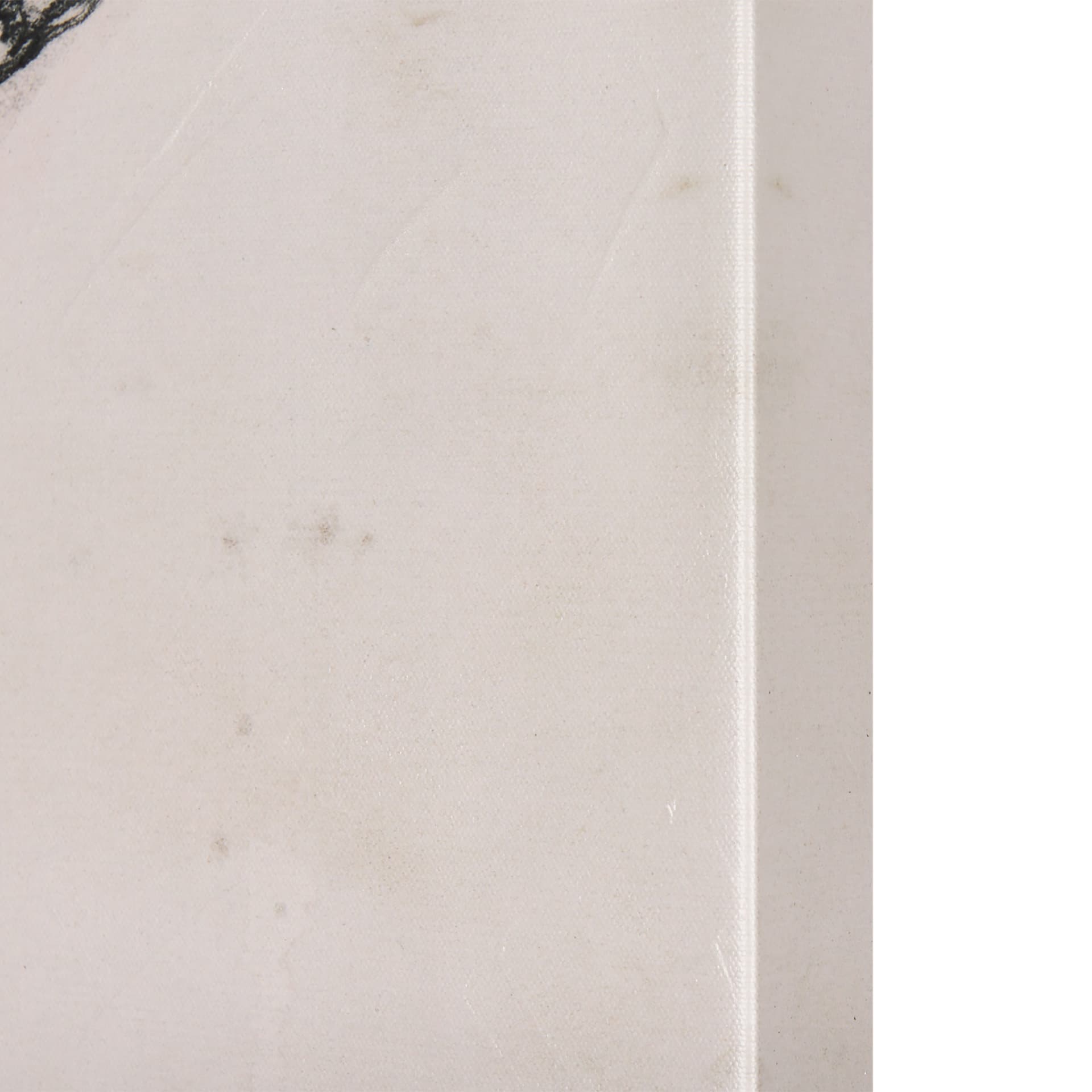 Wild Aster With Monarch Butterfly Drawing III by Mercana Studio a Hand Embellished Textured Canvas — product photograph