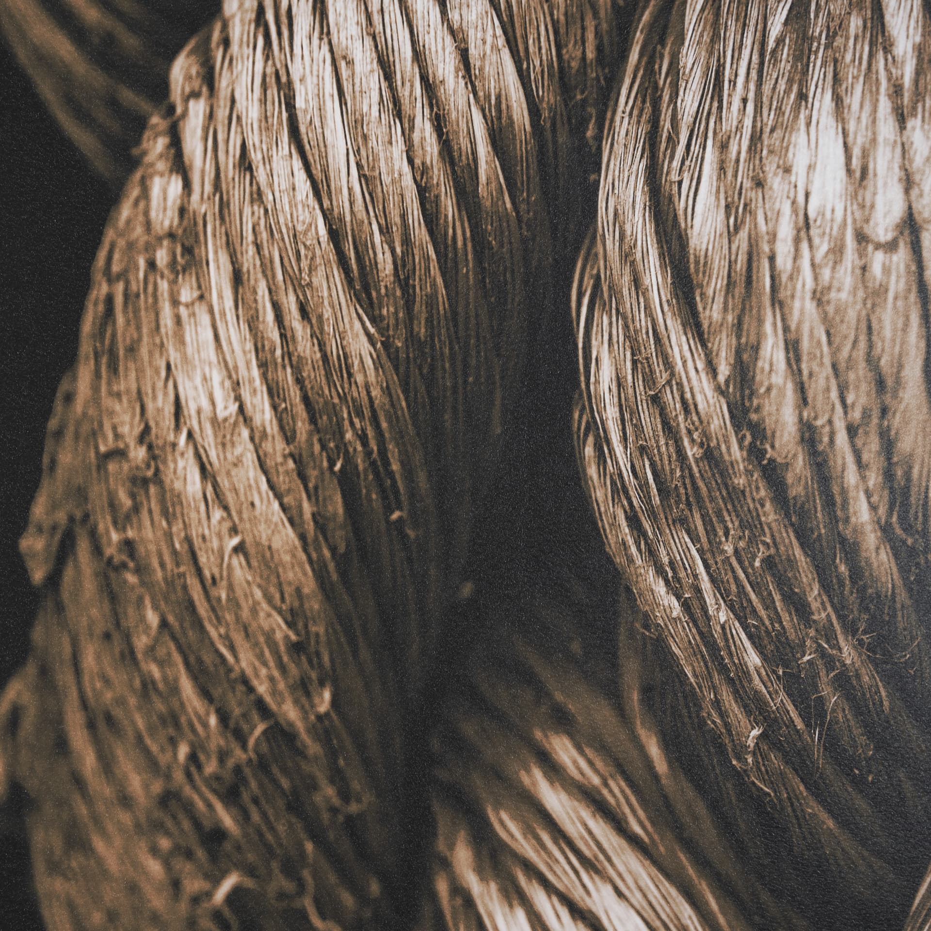 Anchored by Melissa McClain a Hand Embellished Framed Photo Art Print Matted under Glass — product photograph