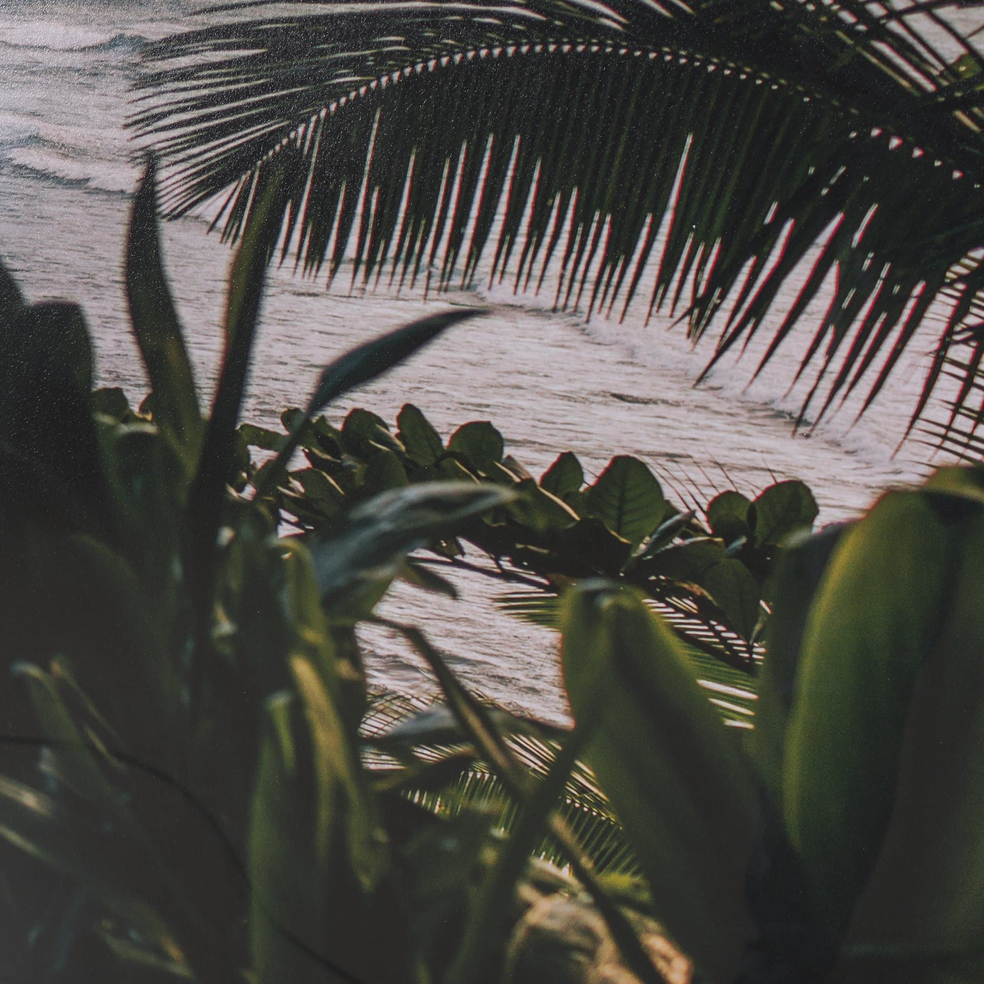 Kauai Jungle Dream by Stefan and Audrey Textured Framed Photo Print Matted under Glass — product photograph