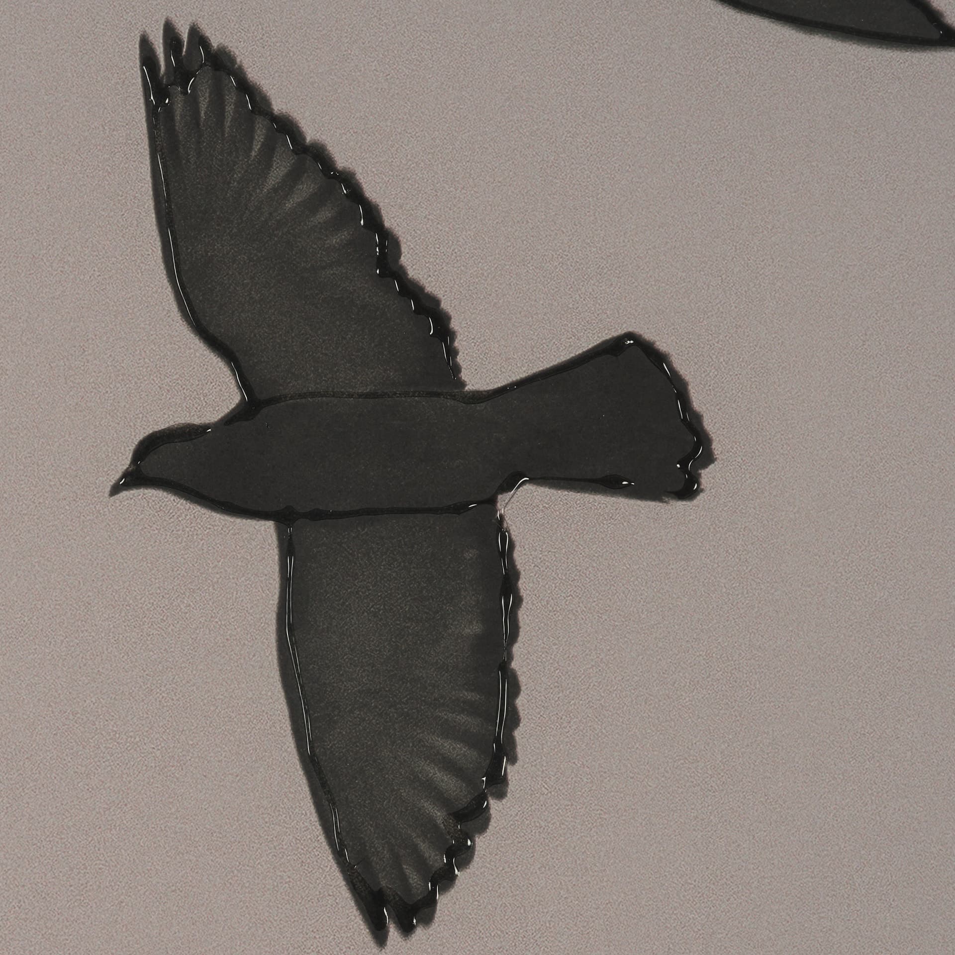 Flock I by Nathan Larson a Hand Embellished Framed Photo Print under Glass — product photograph