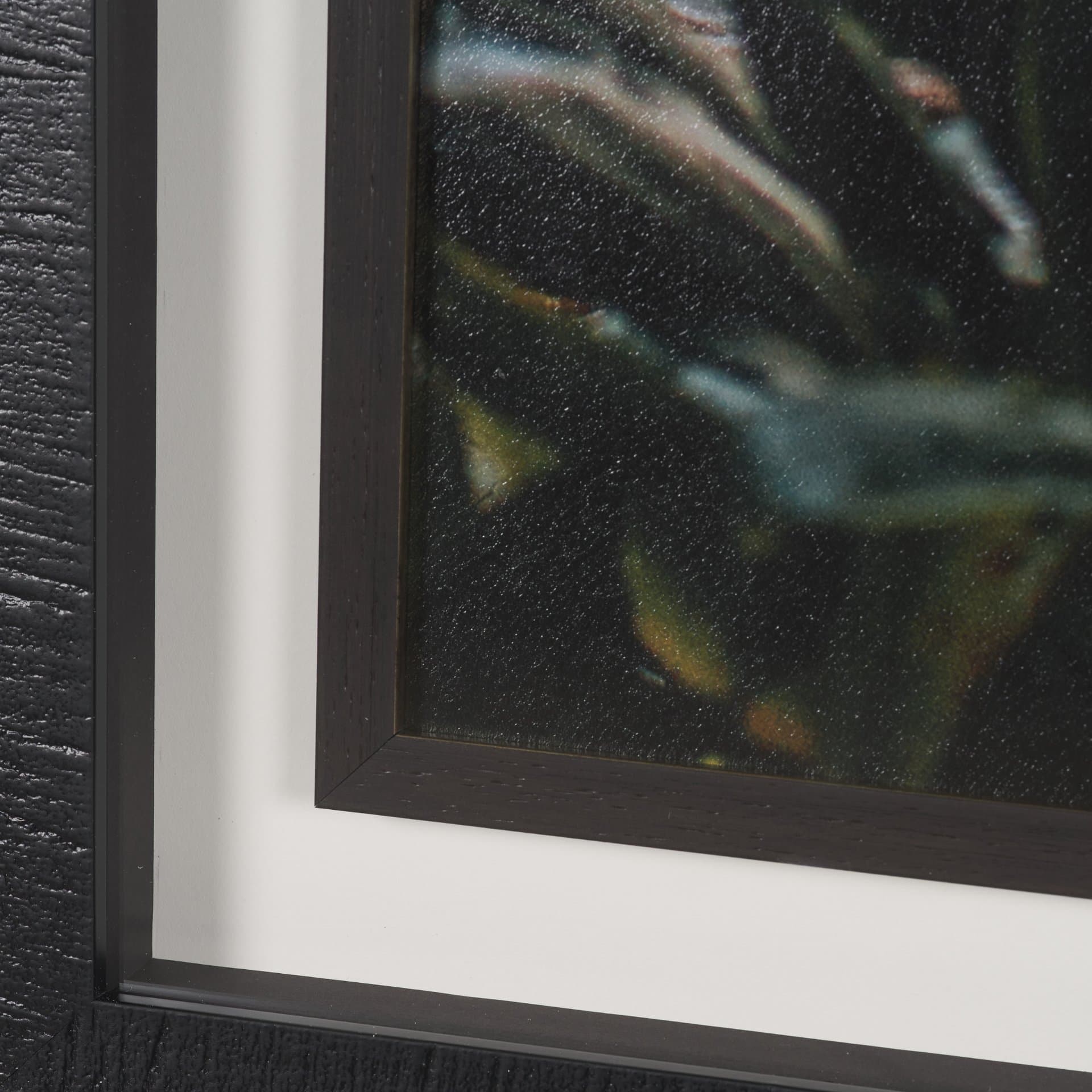 Kauai Jungle Dream by Stefan and Audrey Textured Framed Photo Print Matted under Glass — product photograph