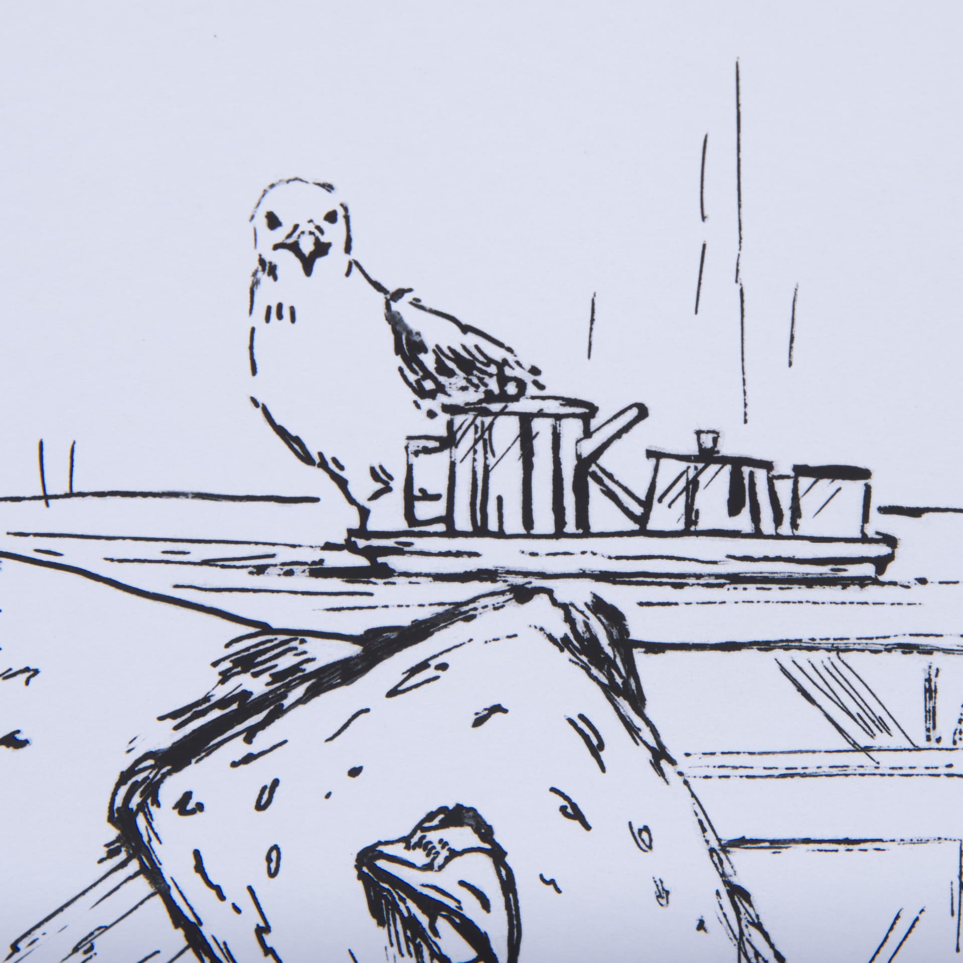 Animal Talk II by Mercana Studio a Framed Art Print Matted under Glass — product photograph