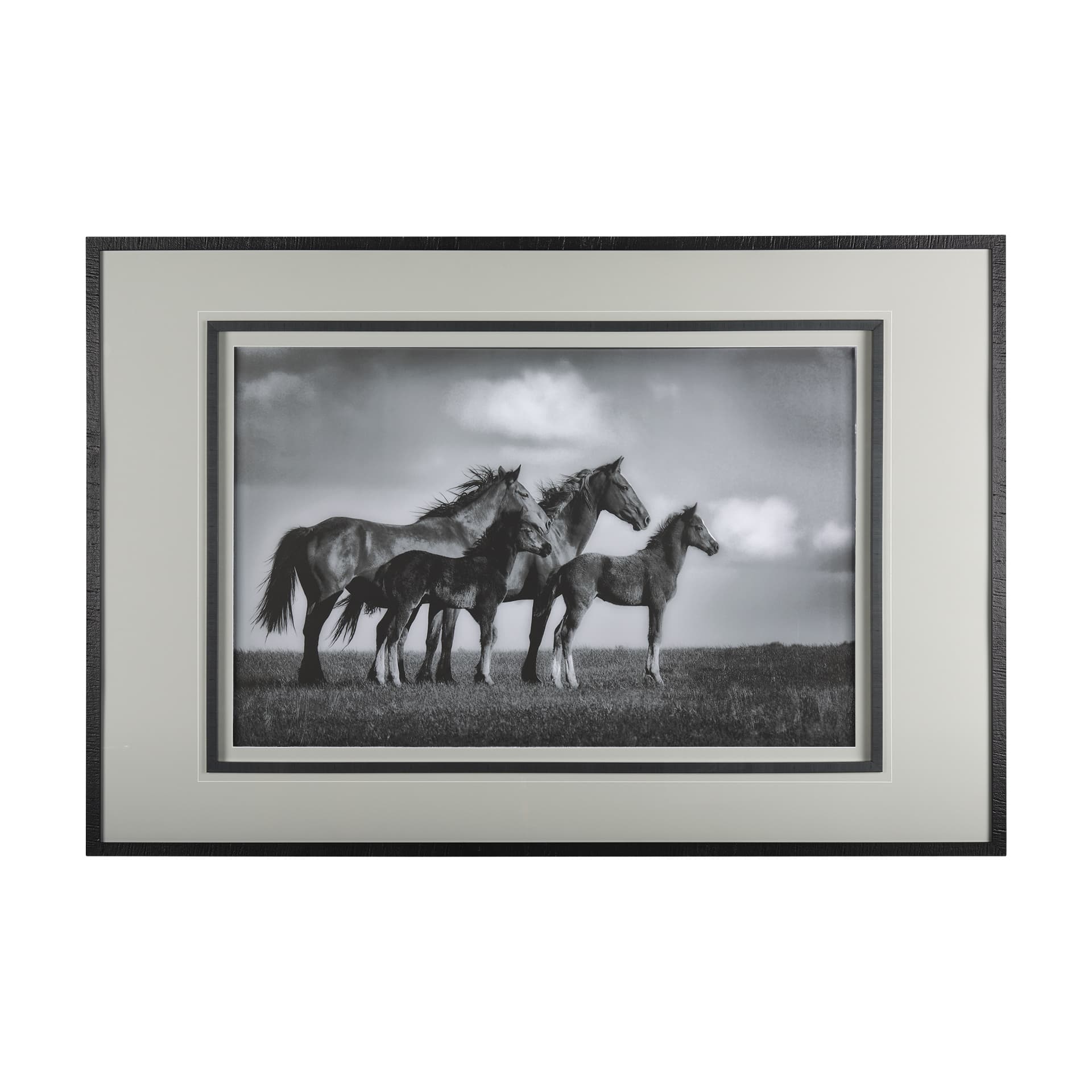 Focused by Mercana Studio a Framed Photo Art Print Matted under Glass — product photograph