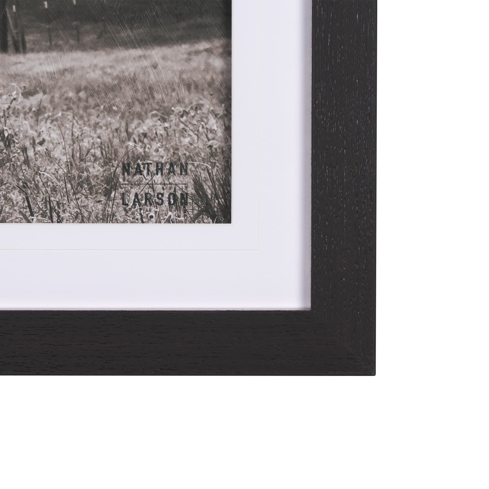 Longhorn Last Call BW by Nathan Larson Hand Embelished Textured Framed Photo Art Print Matted under — product photograph