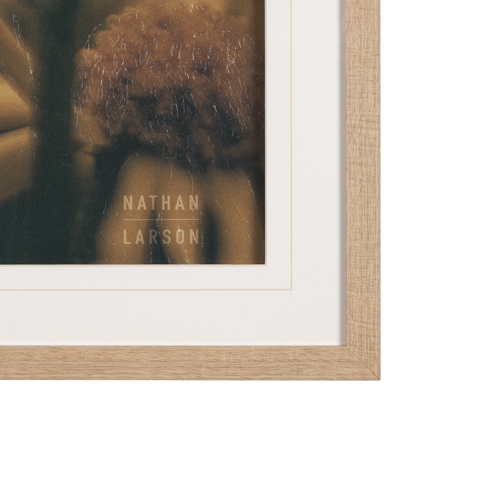 Wild Blooms I by Nathan Larson a Hand Embellished Framed Photo Art Print Matted under Glass — product photograph