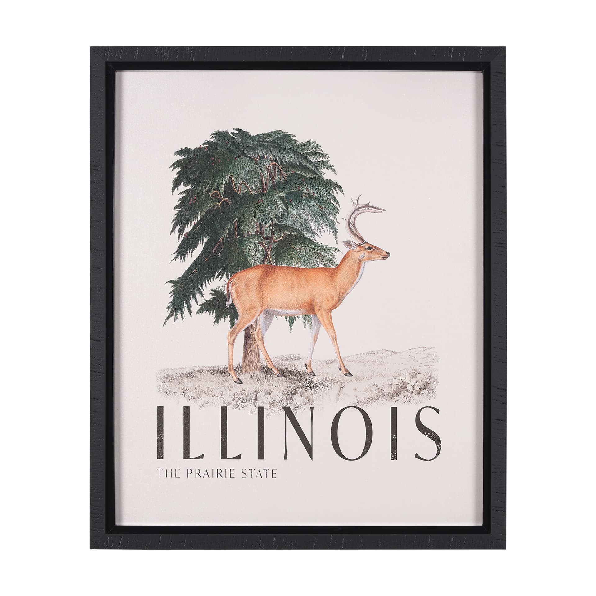 Travel Guide - Illinois by Vintage Collection a Hand Embellished Textured Framed Art Print — product photograph