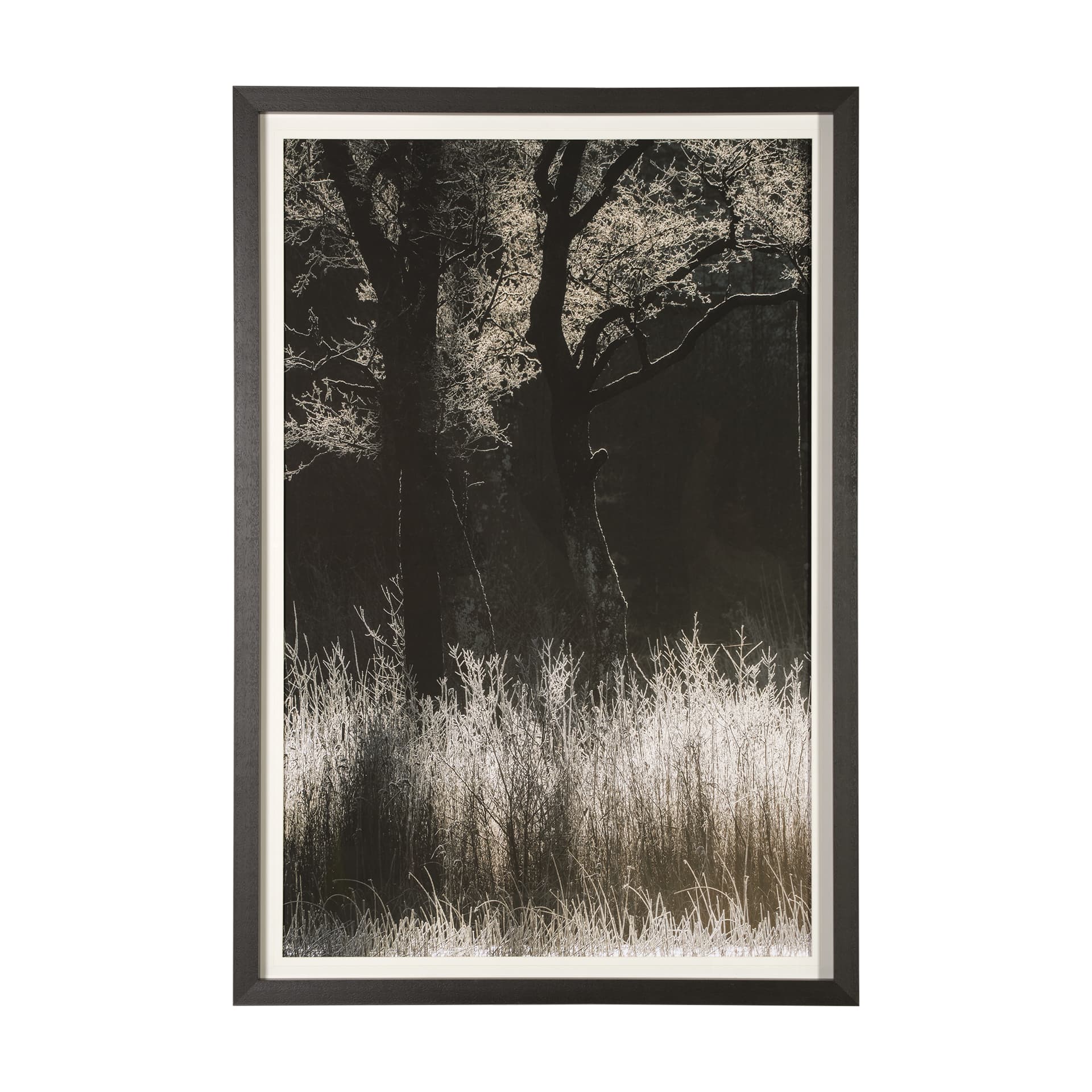 Tranquil Symmetry I by Mikael Svensson a Framed Photo Art Print Matted under Glass — product photograph