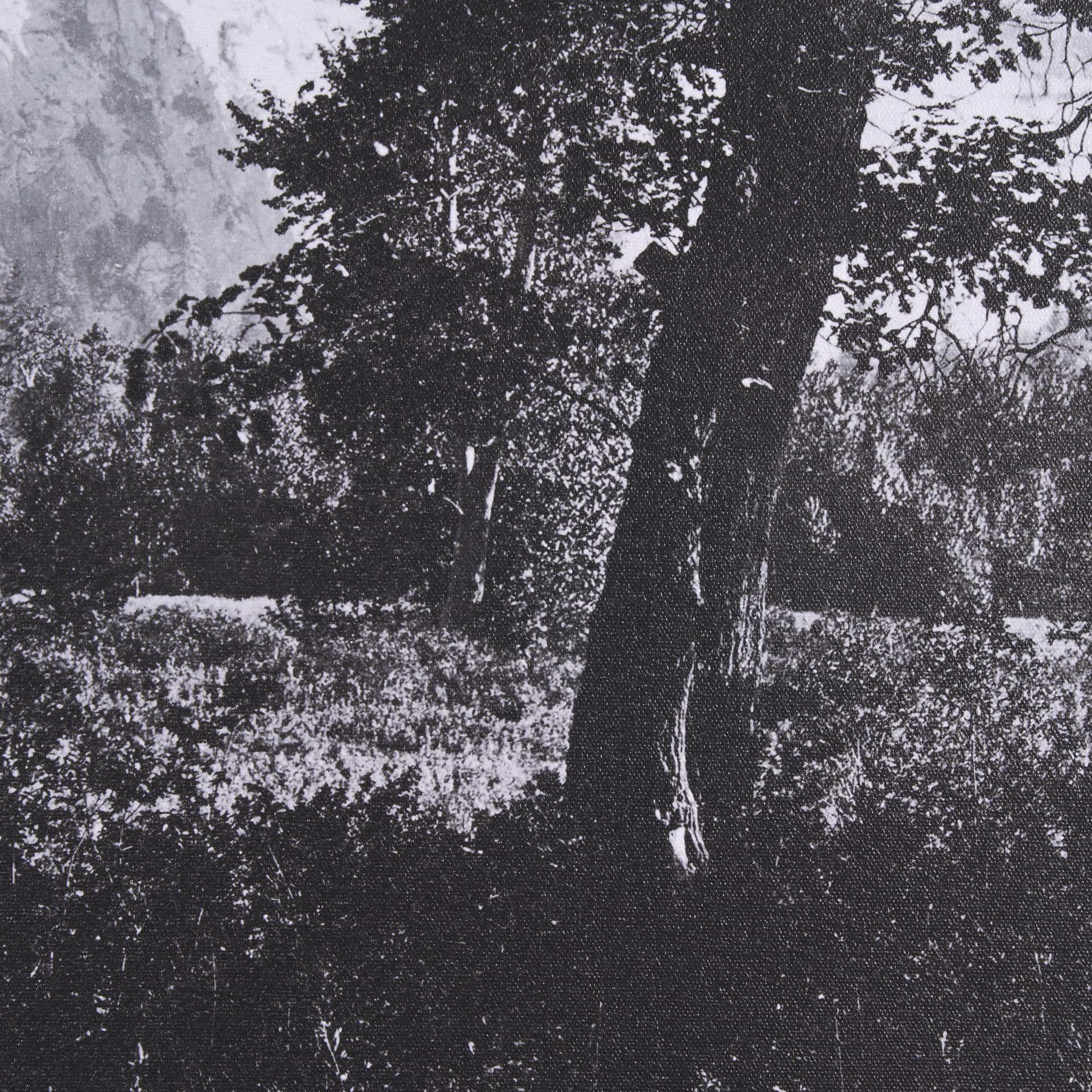 Yosemite Falls by Carleton E Watkins a Hand Embellished Textured Framed Photo Art Print — product photograph