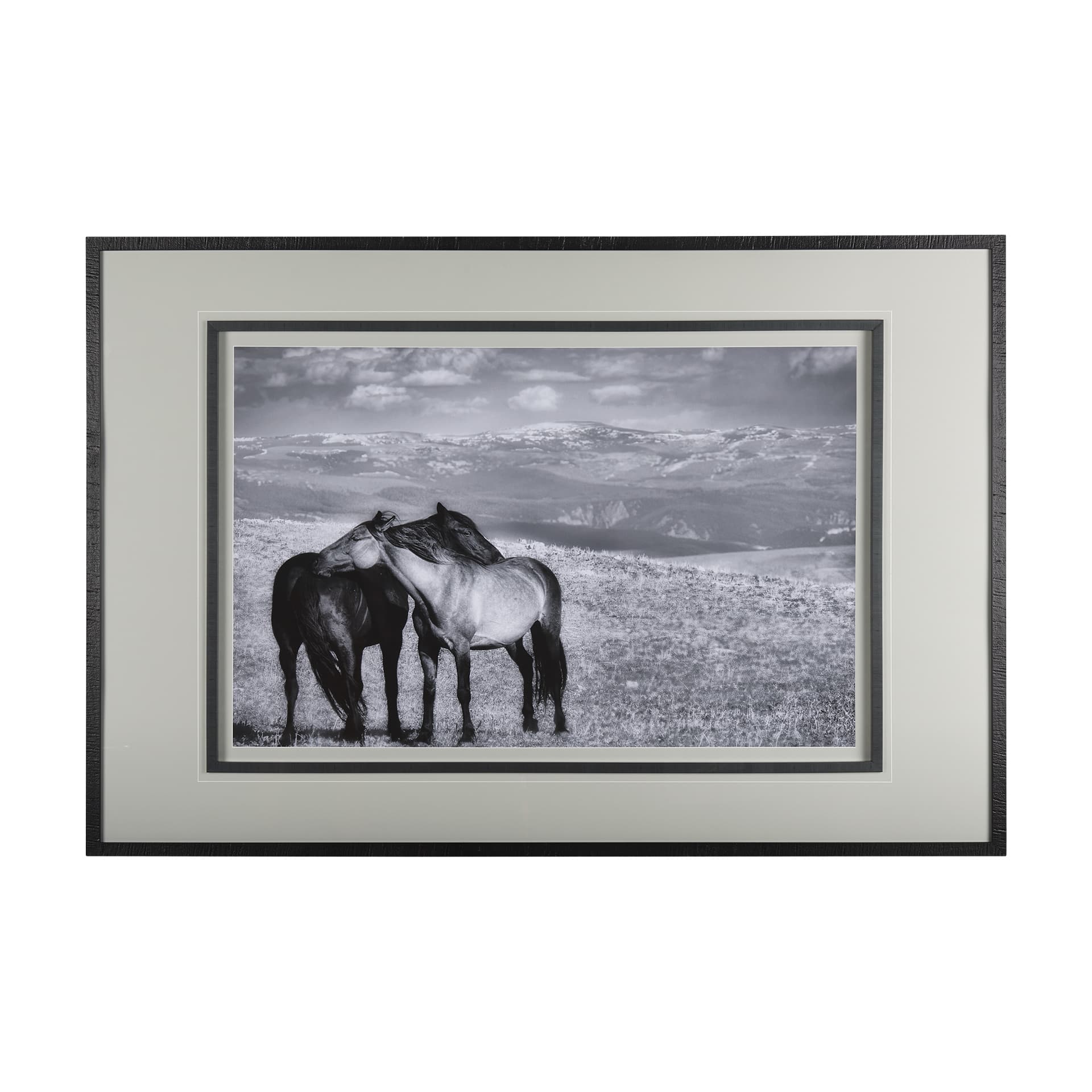 Babies on Board by Mercana Studio a Framed Photo Art Print Matted under Glass — product photograph