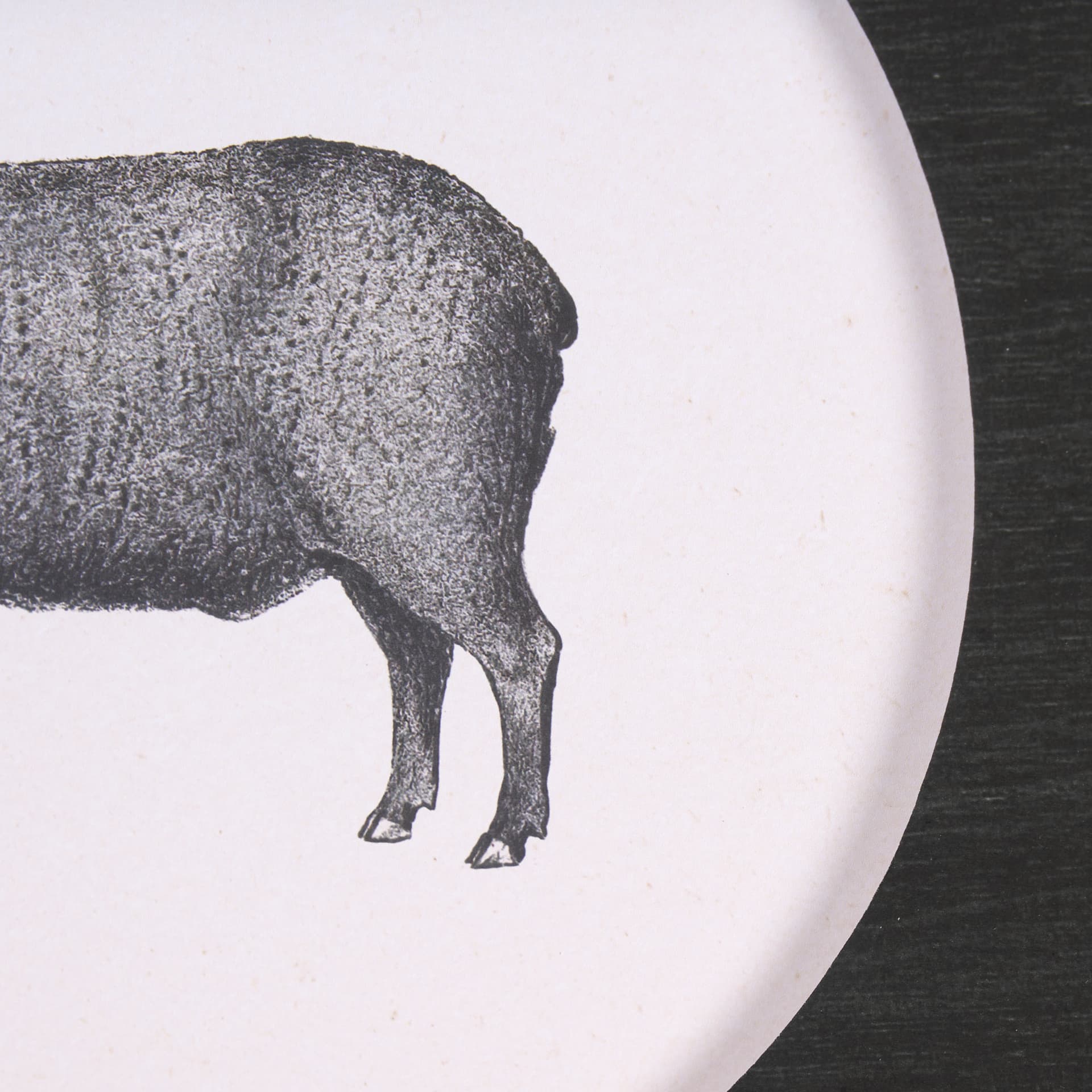 Down On The Farm II by Wild Apple Portfolio a Framed Art Print Matted under Glass — product photograph