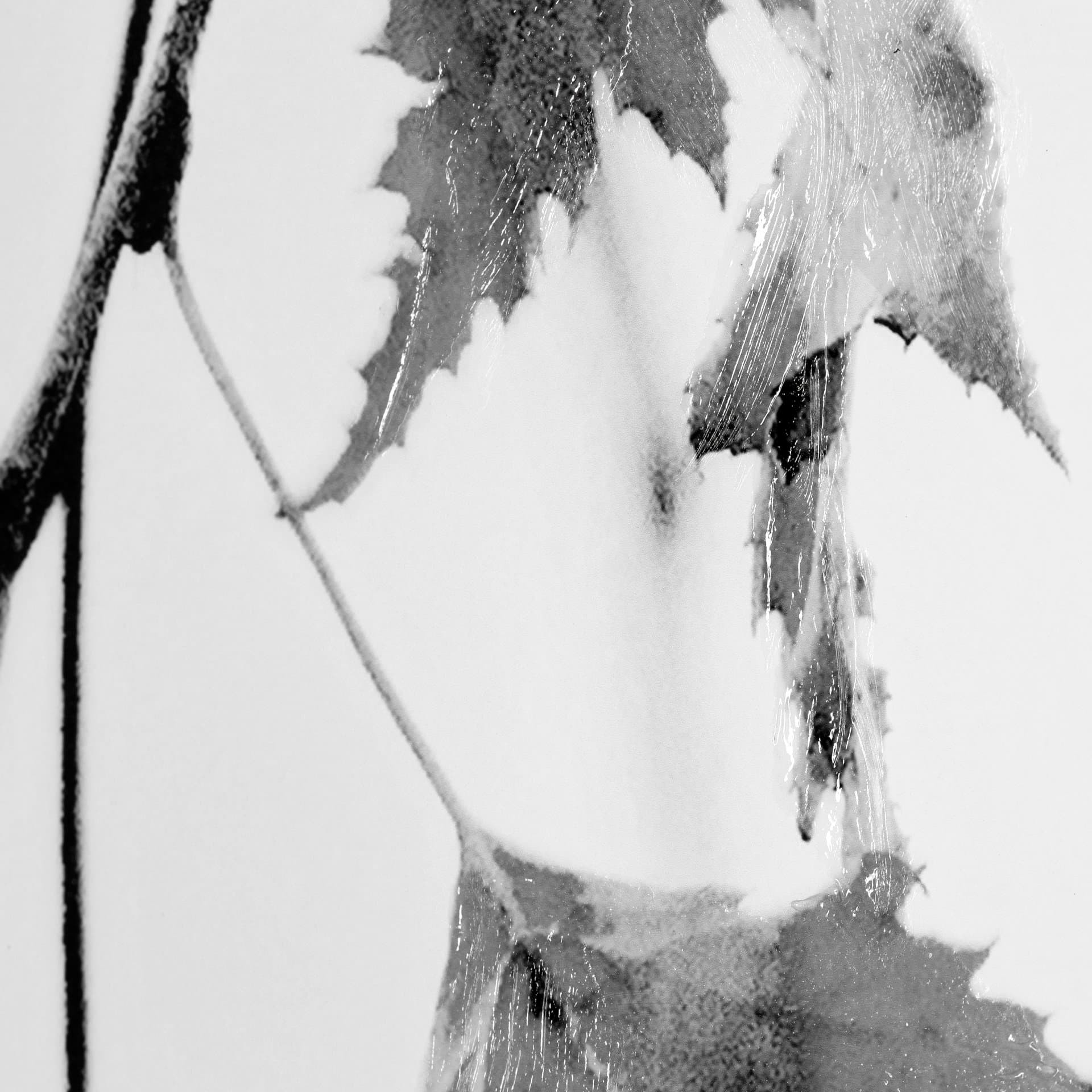 Hanging by Rebecca Cozart a Hand Embellished Textured Framed Art Print Matted under Glass — product photograph
