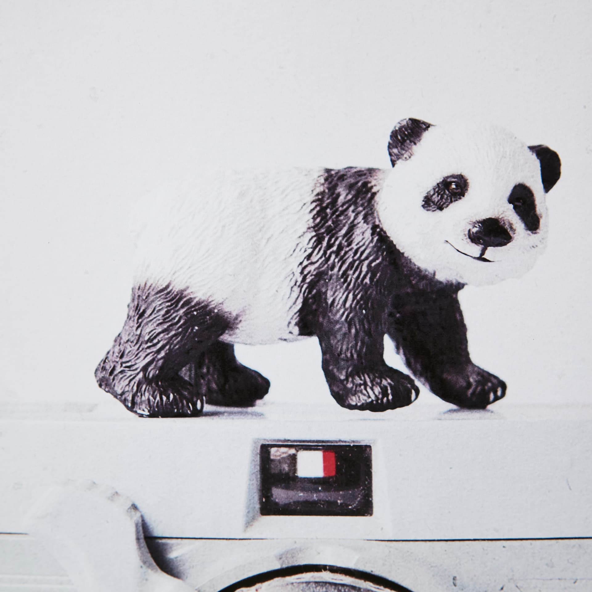 Panda & Vintage Camera by Susannah Tucker Photography a Framed Photo Art Print Matted under Glass — product photograph